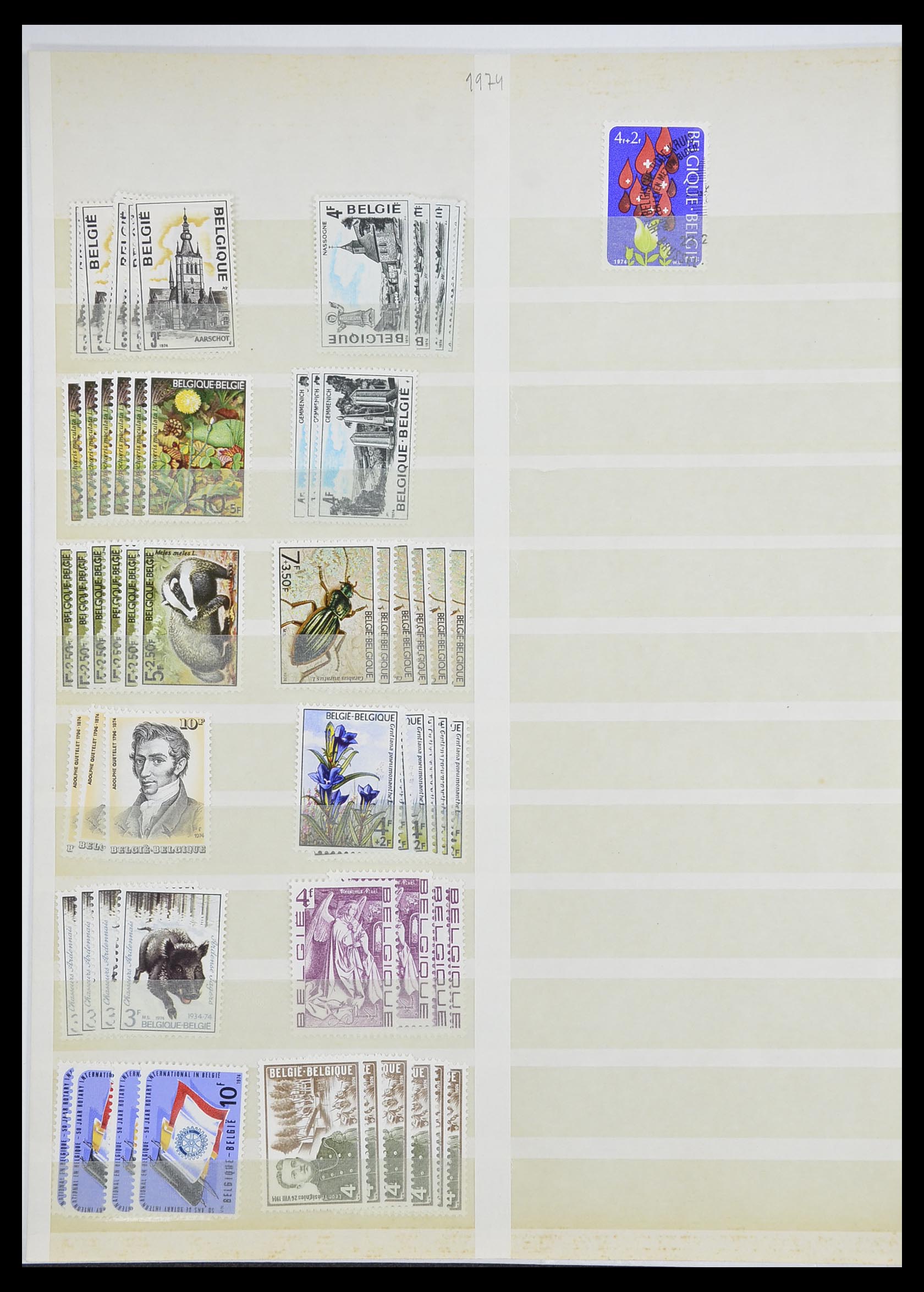 33743 054 - Stamp collection 33743 Belgium 1961-2000.