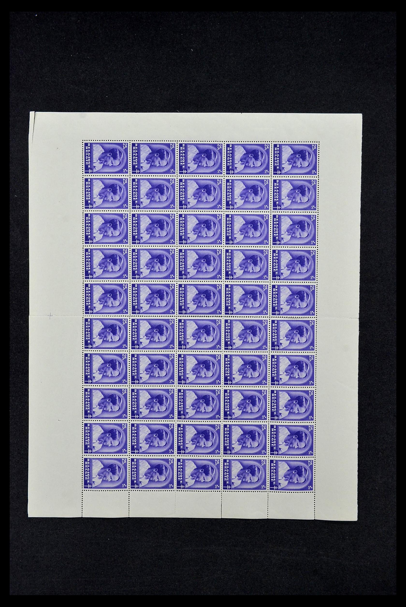 33763 045 - Stamp collection 33763 Belgium 1919-1983.