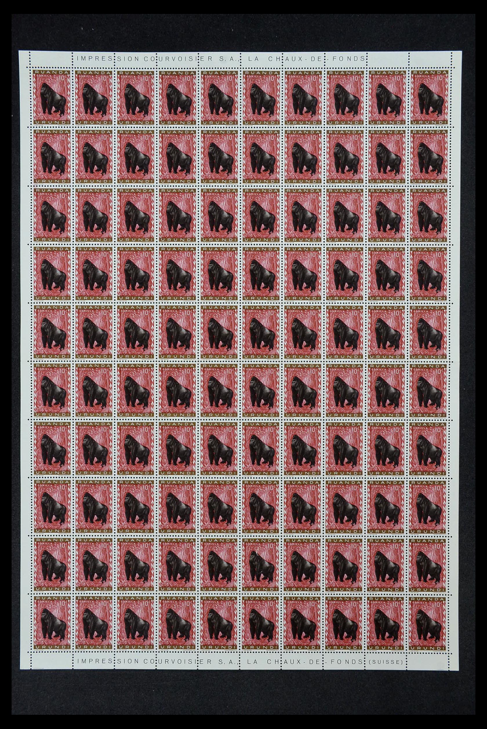 33763 156 - Stamp collection 33763 Belgium 1919-1983.