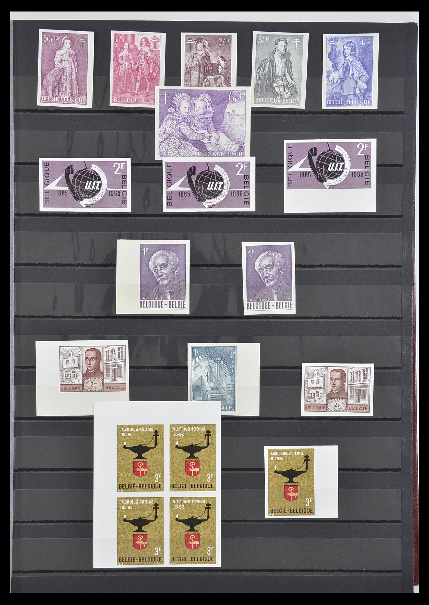 33765 003 - Postzegelverzameling 33765 België ONGETAND 1960-2019!