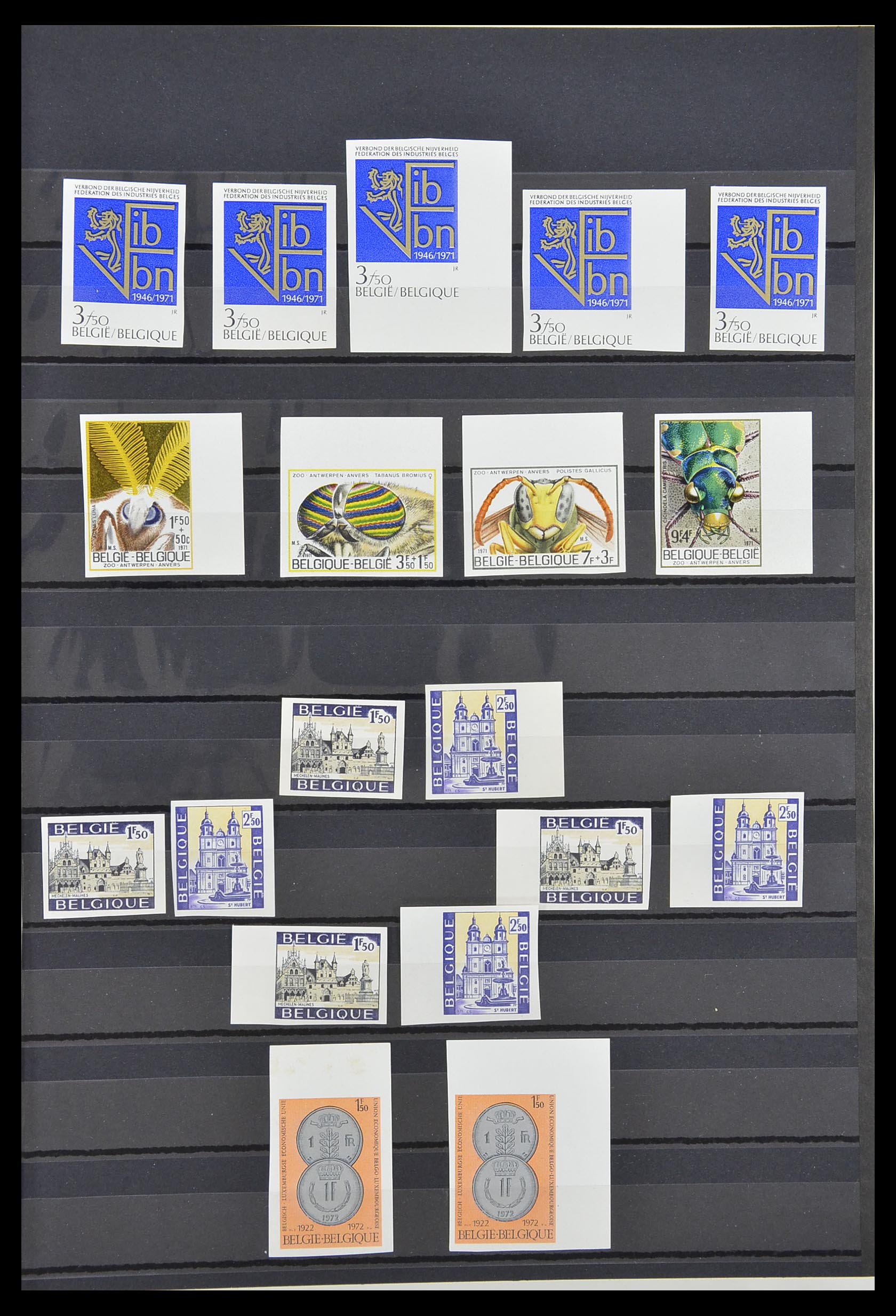 33765 032 - Postzegelverzameling 33765 België ONGETAND 1960-2019!