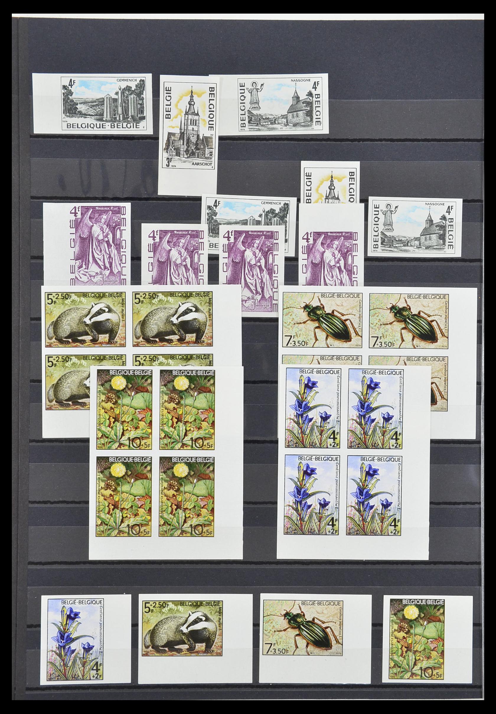 33765 051 - Stamp collection 33765 Belgium IMPERFORATED 1960-2019!