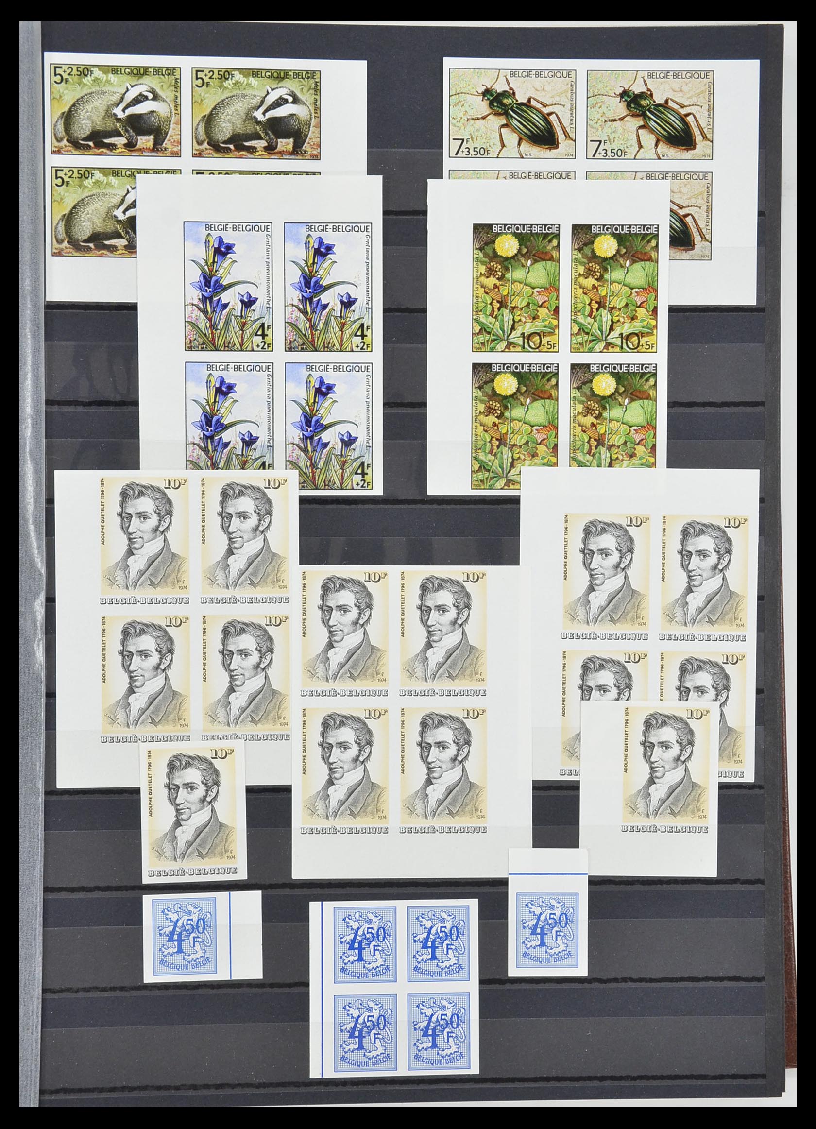 33765 052 - Stamp collection 33765 Belgium IMPERFORATED 1960-2019!