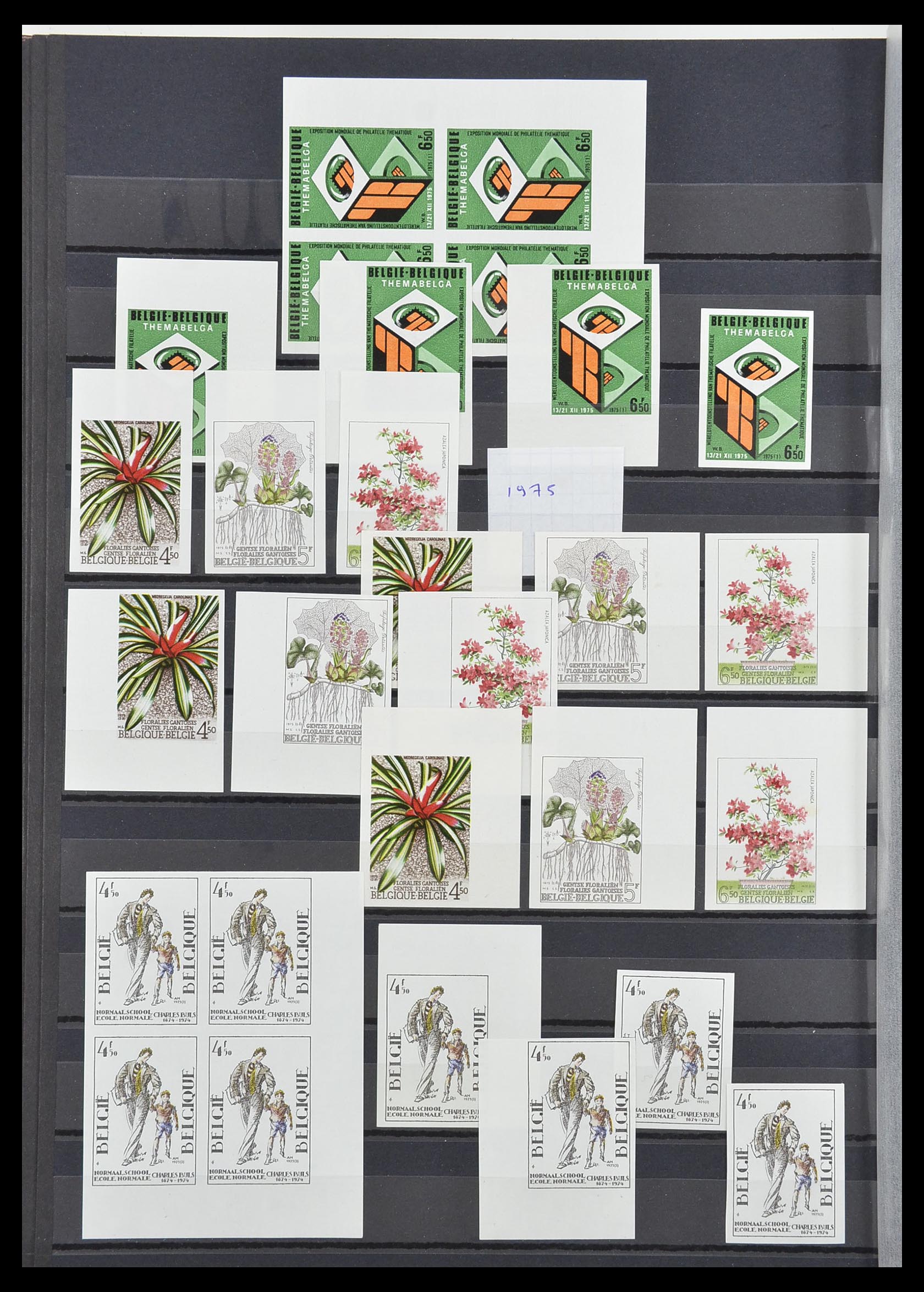 33765 053 - Postzegelverzameling 33765 België ONGETAND 1960-2019!