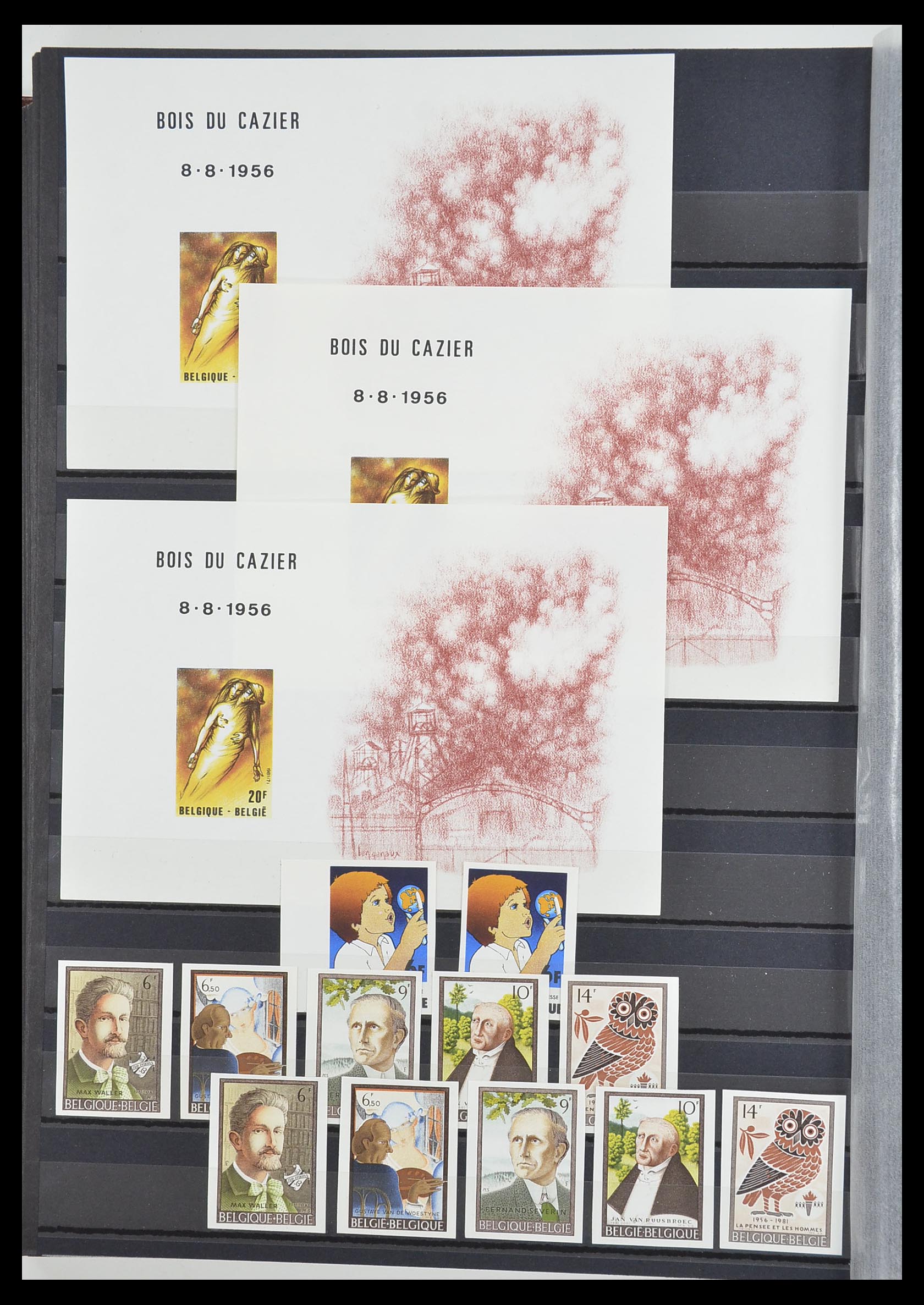 33765 093 - Postzegelverzameling 33765 België ONGETAND 1960-2019!