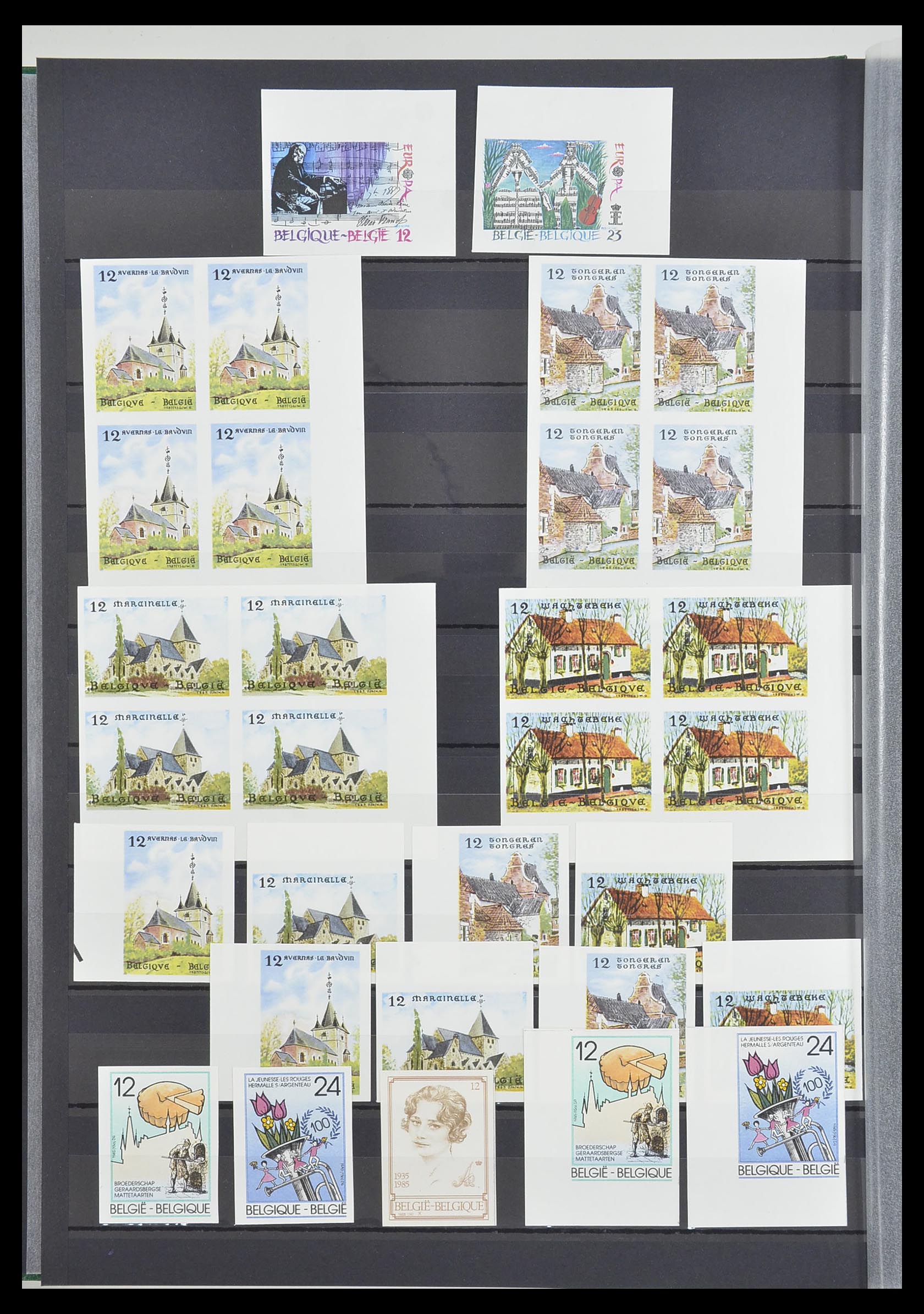 33765 109 - Postzegelverzameling 33765 België ONGETAND 1960-2019!
