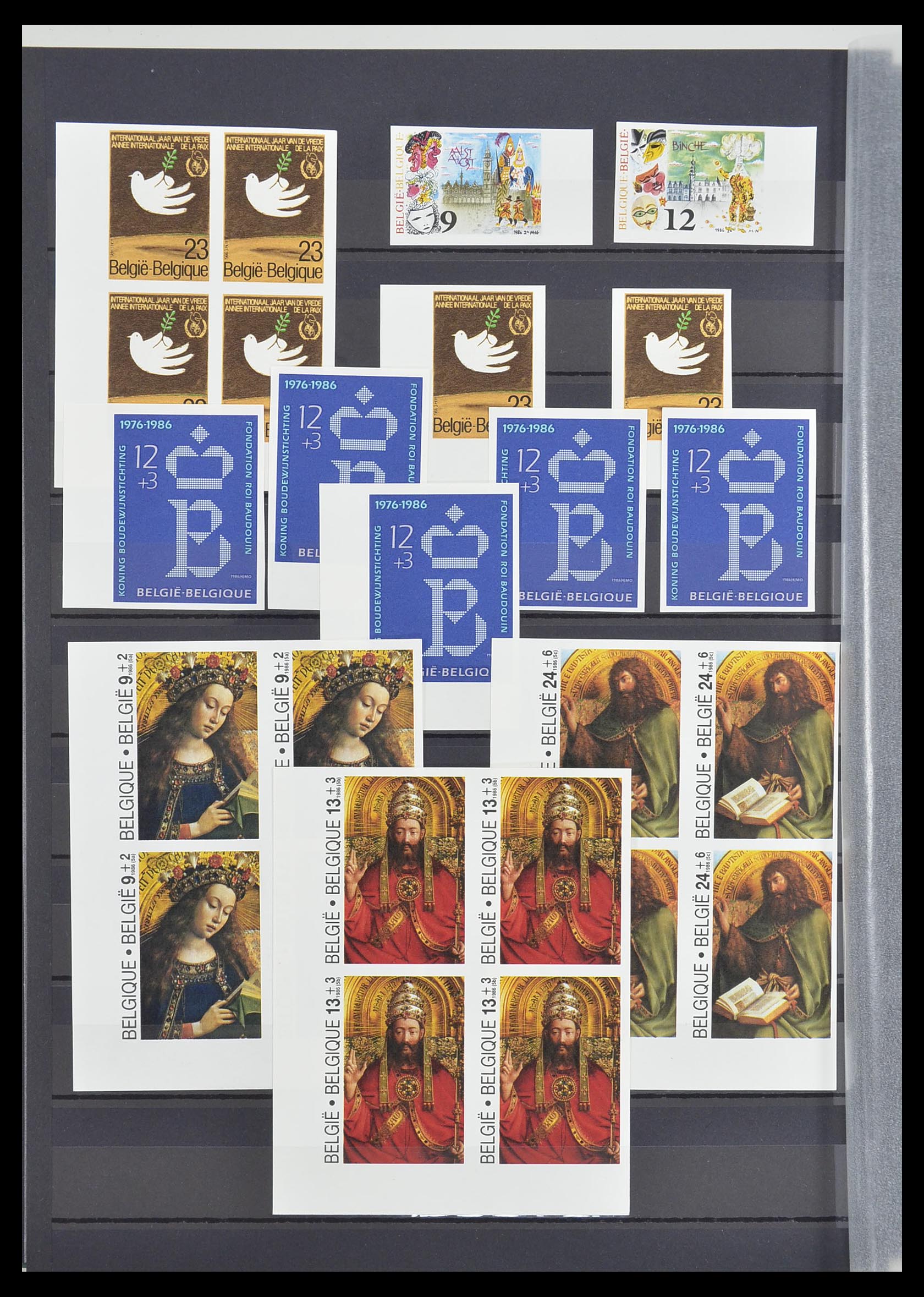 33765 113 - Postzegelverzameling 33765 België ONGETAND 1960-2019!