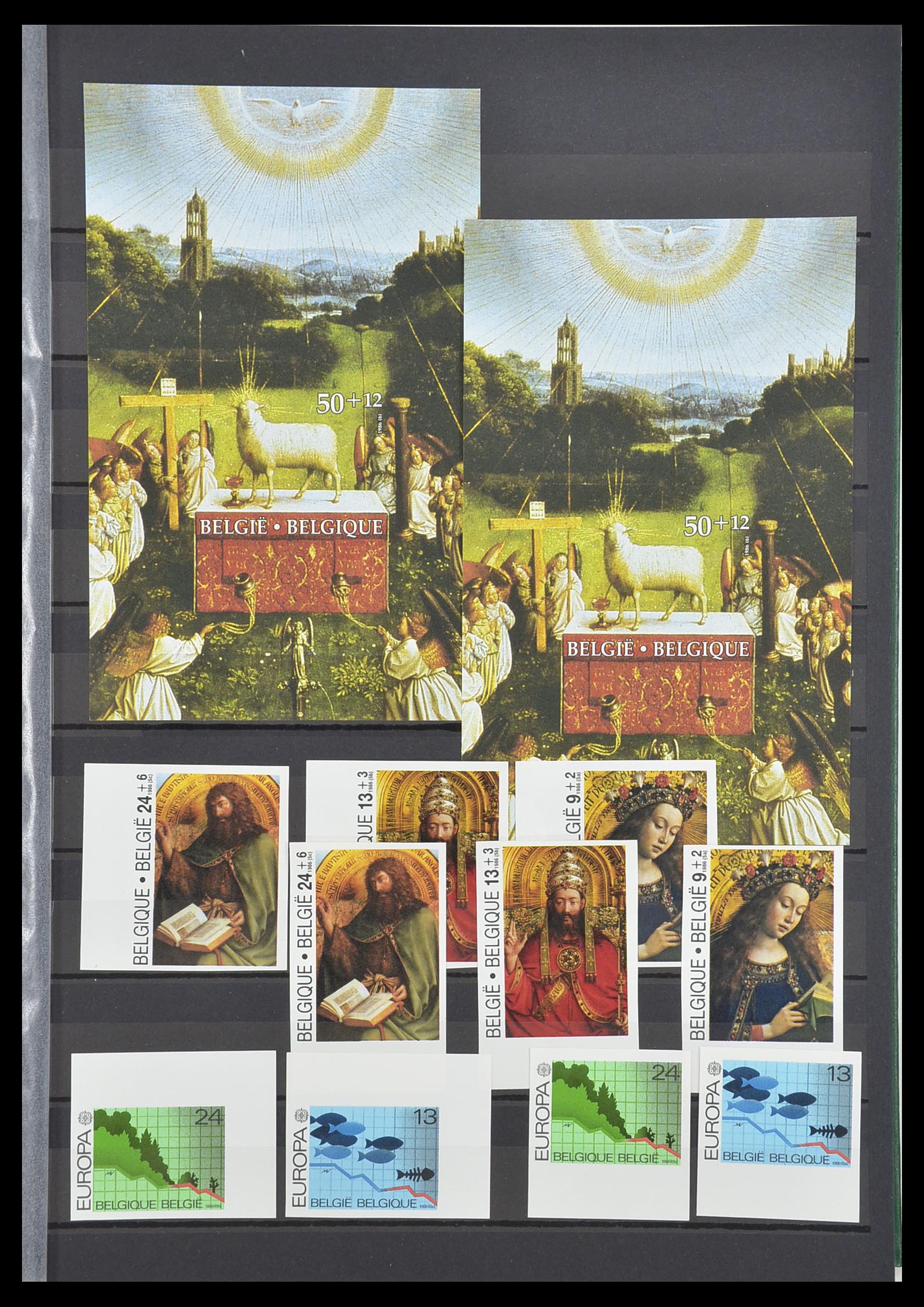 33765 114 - Postzegelverzameling 33765 België ONGETAND 1960-2019!