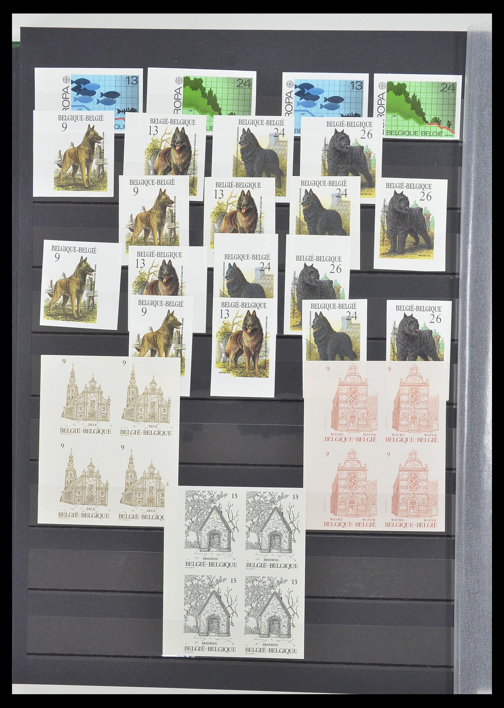 33765 115 - Postzegelverzameling 33765 België ONGETAND 1960-2019!