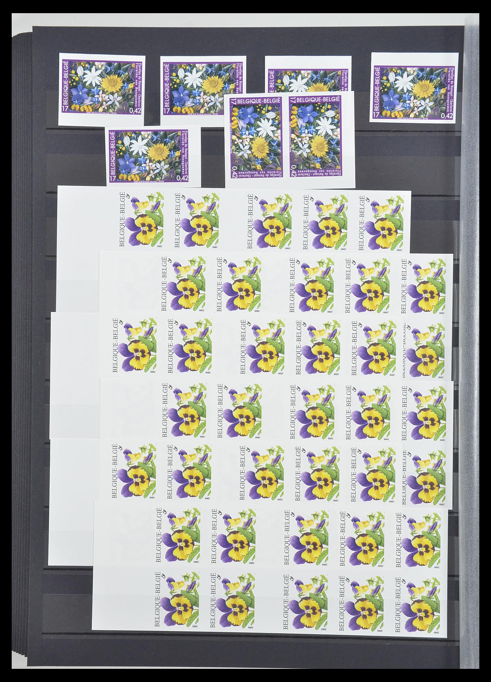 33765 201 - Postzegelverzameling 33765 België ONGETAND 1960-2019!