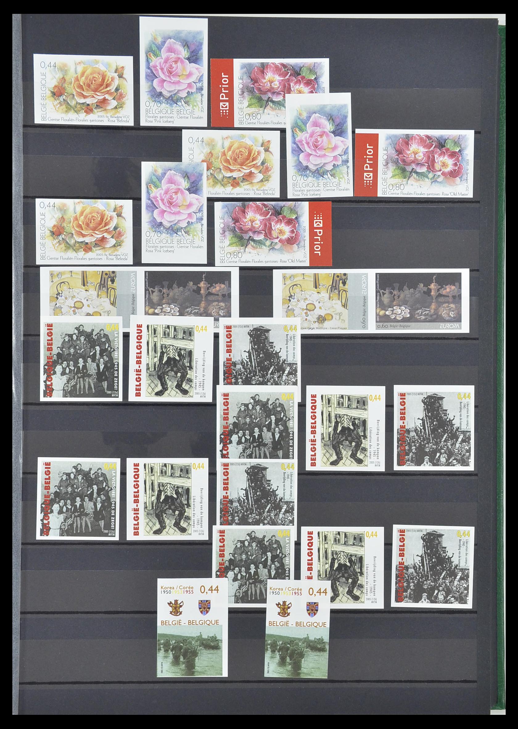 33765 238 - Postzegelverzameling 33765 België ONGETAND 1960-2019!
