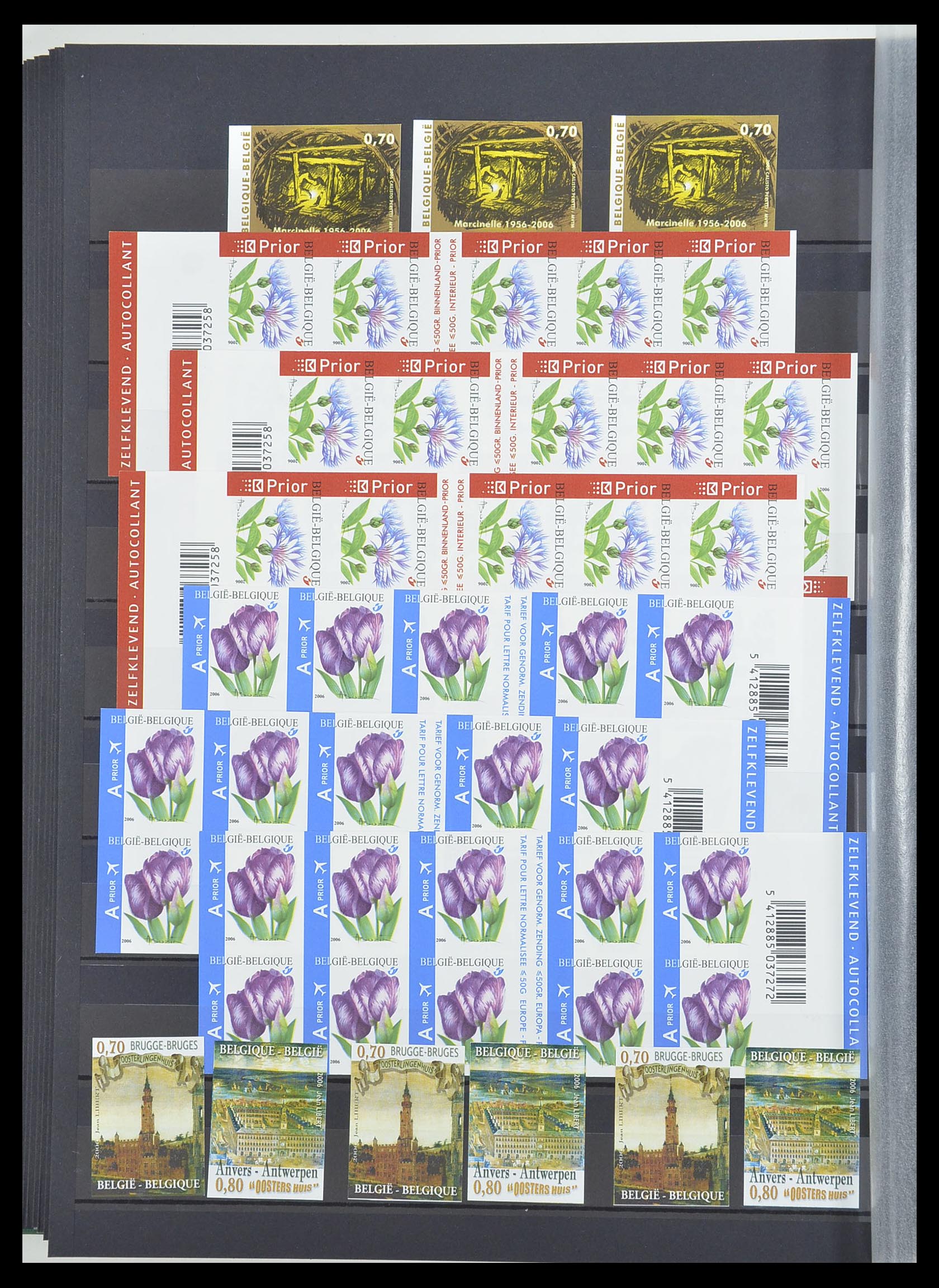 33765 255 - Postzegelverzameling 33765 België ONGETAND 1960-2019!