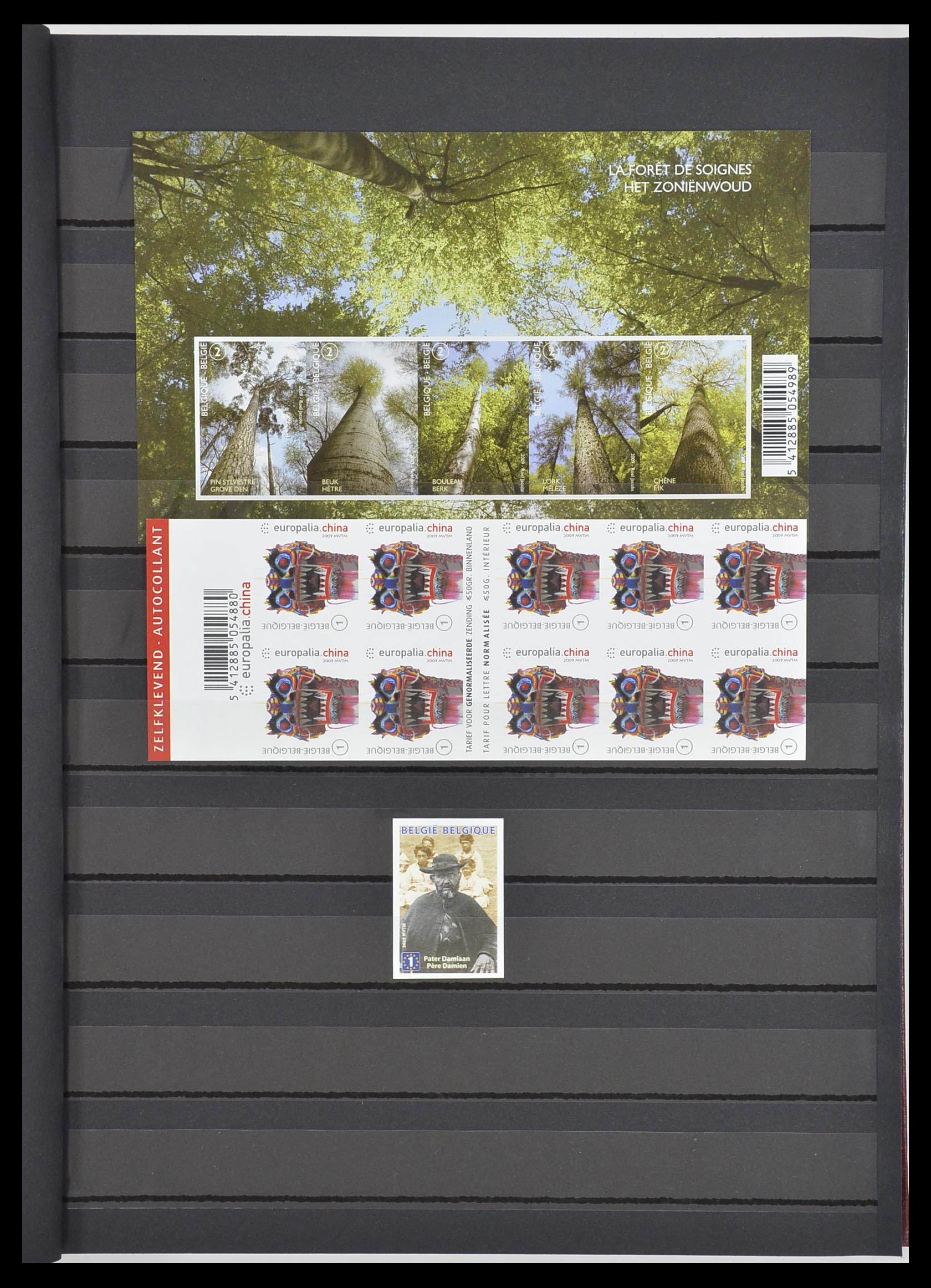 33765 276 - Postzegelverzameling 33765 België ONGETAND 1960-2019!