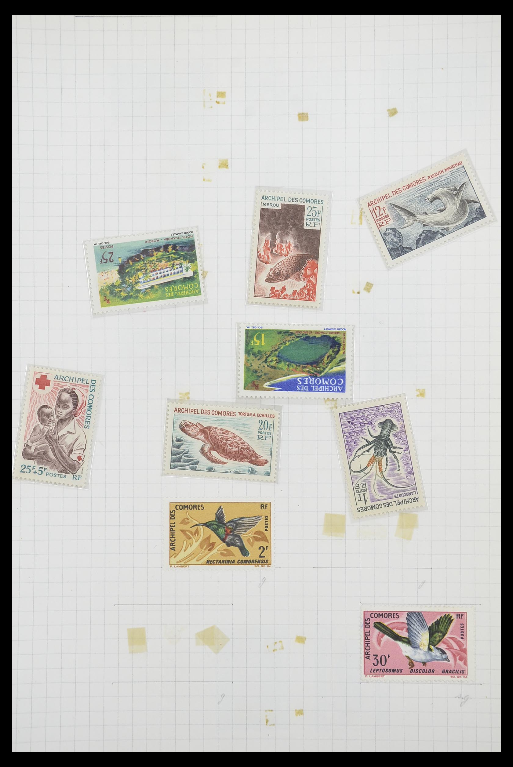 33809 033 - Postzegelverzameling 33809 Franse koloniën 1850-1970.