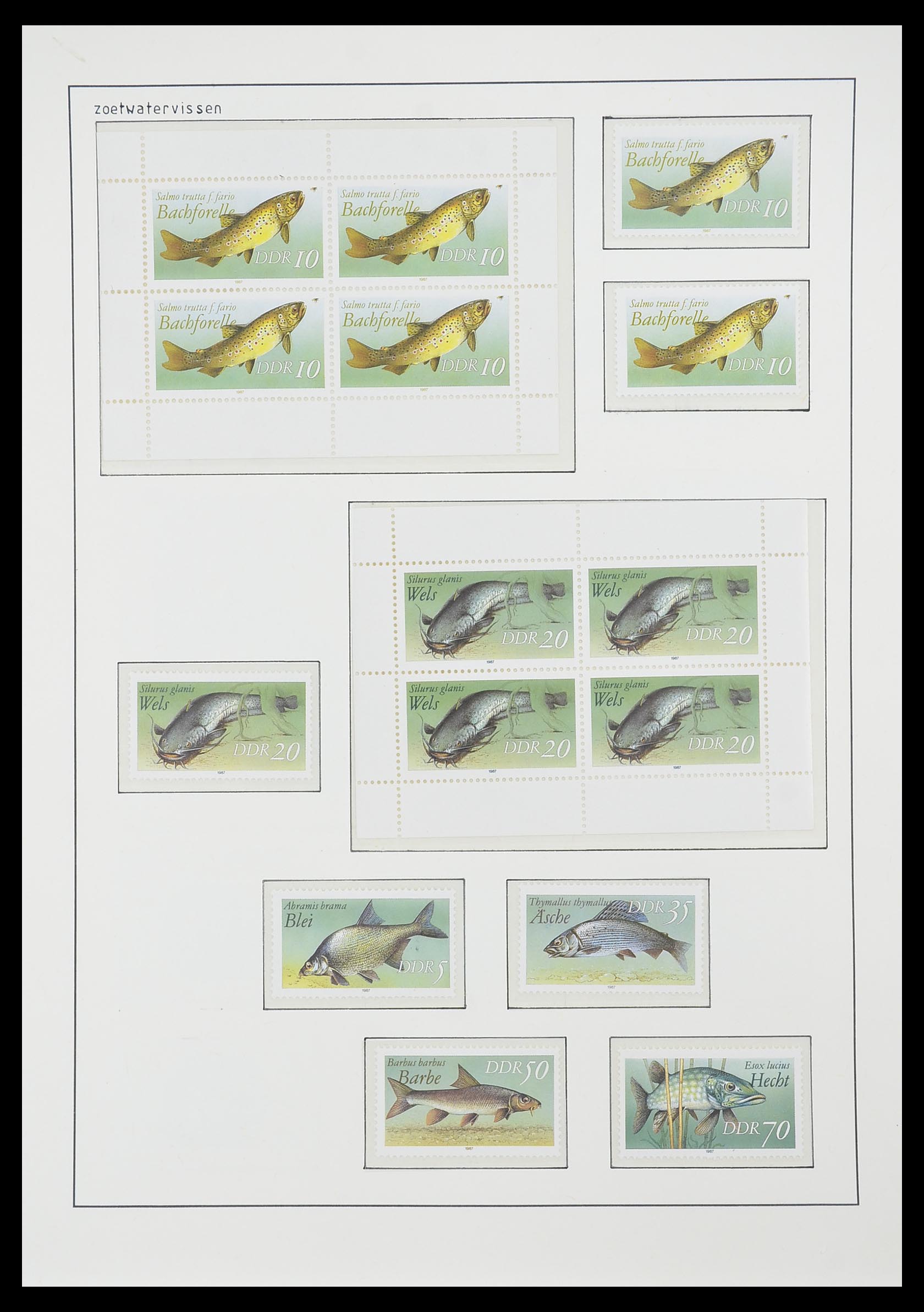 33824 293 - Postzegelverzameling 33824 DDR 1949-1990.