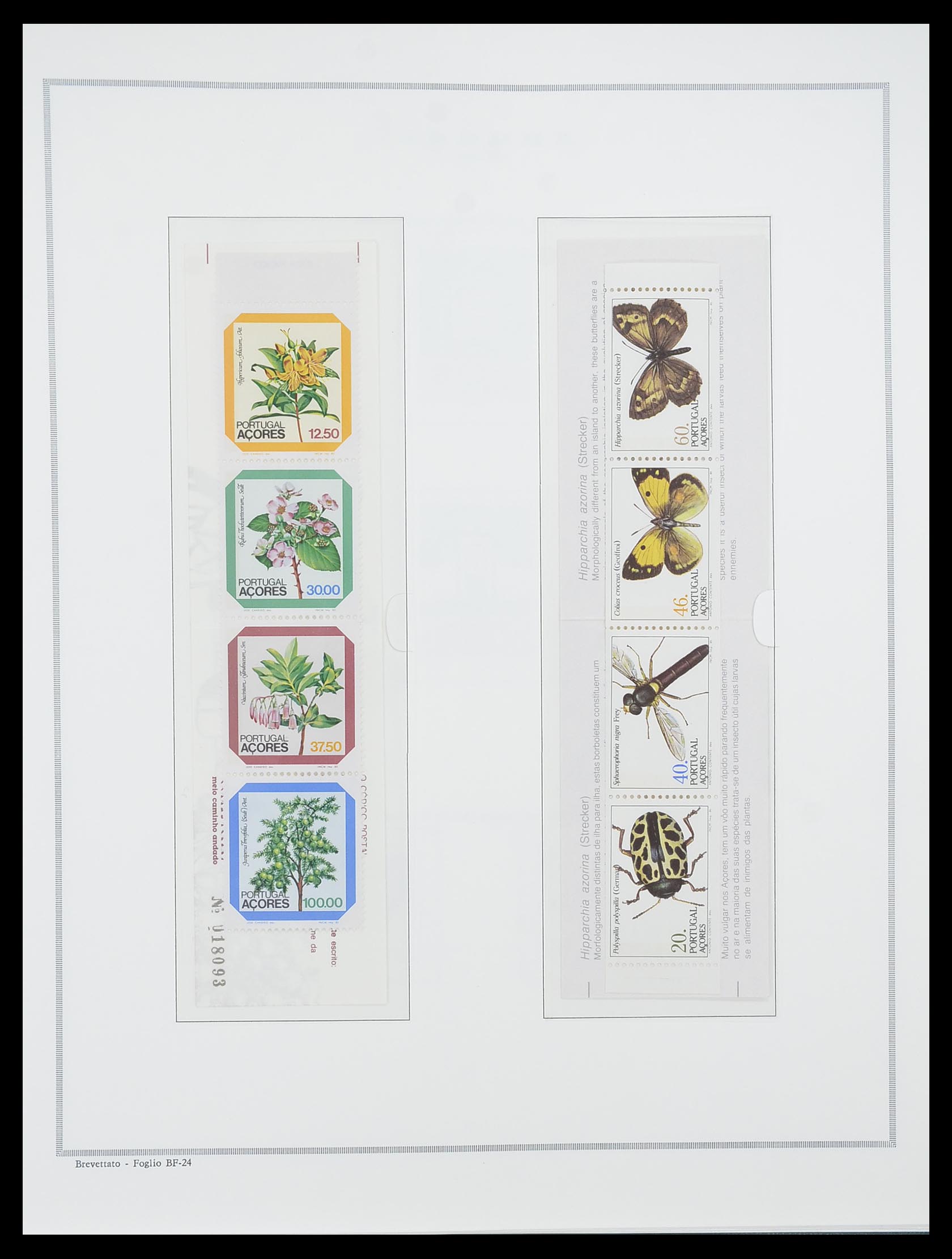 33841 013 - Postzegelverzameling 33841 Azoren en Madeira 1980-2010.