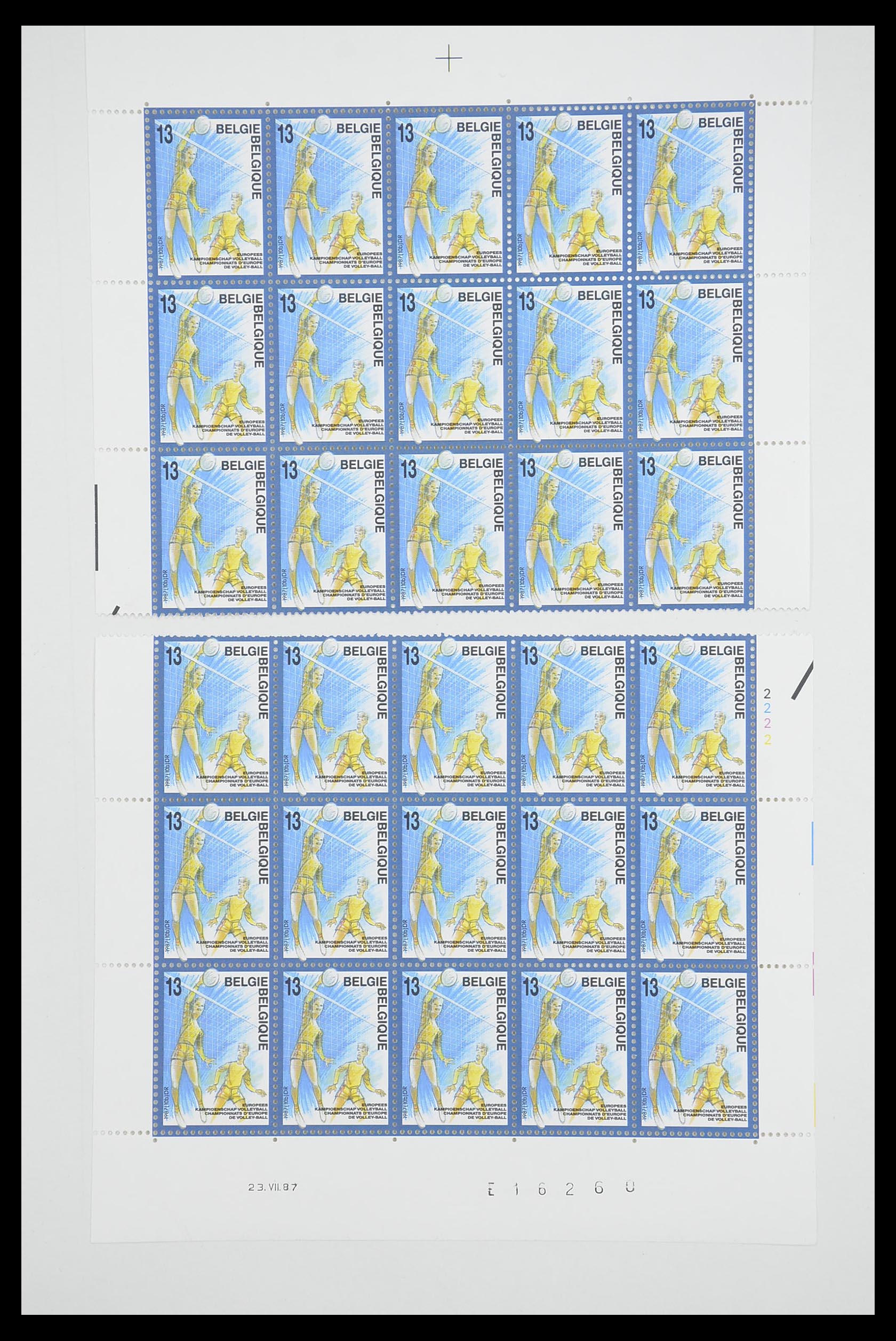 33863 139 - Postzegelverzameling 33863 België 1950-1984.