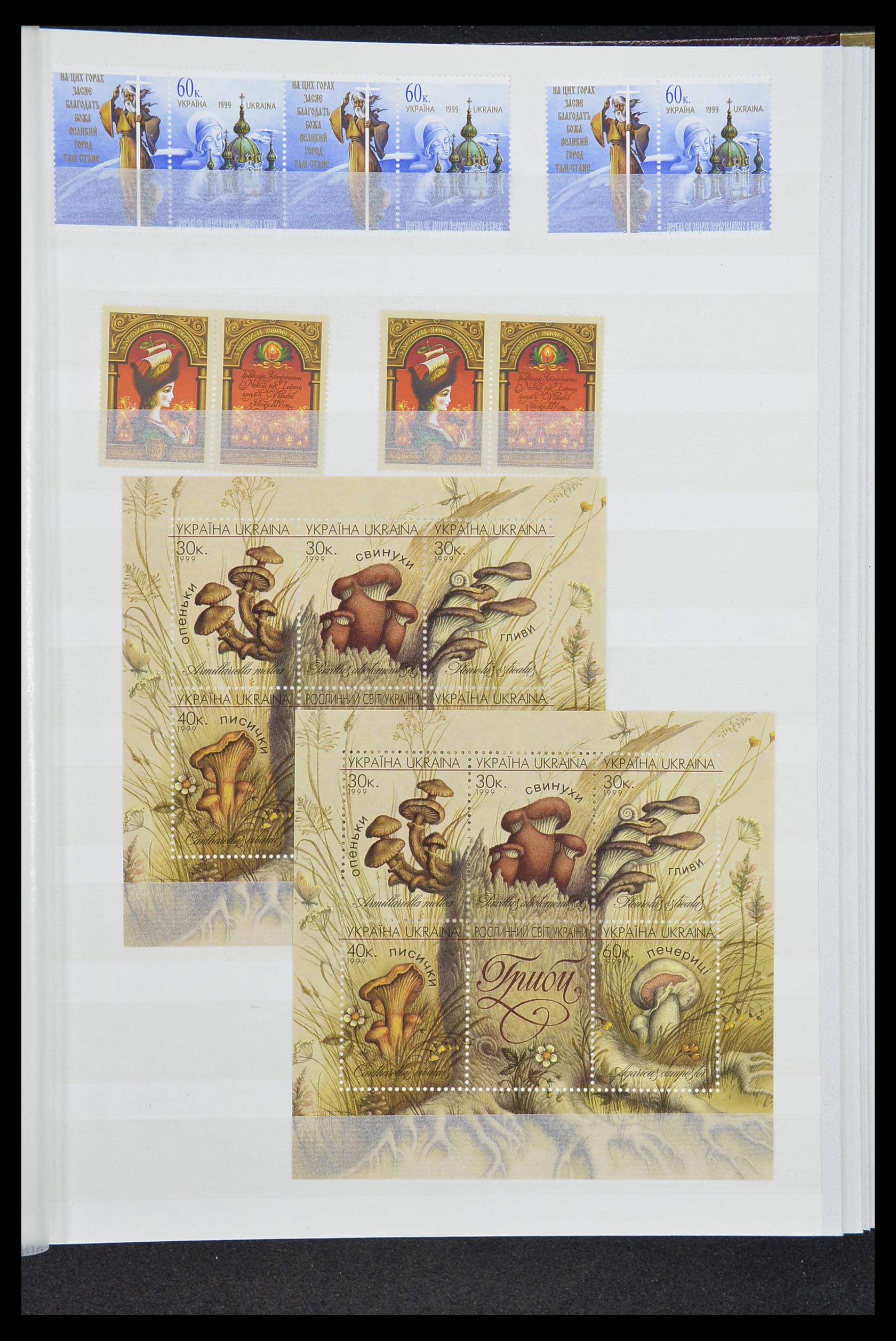 33871 028 - Stamp collection 33871 Ukraine 1919-2009.