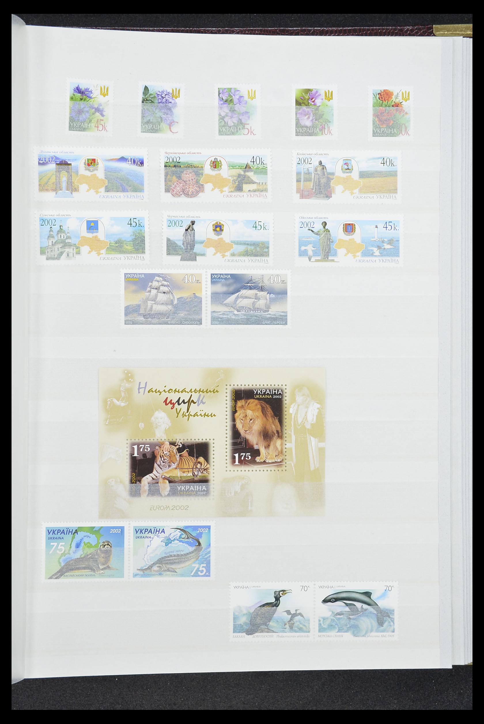 33871 044 - Stamp collection 33871 Ukraine 1919-2009.