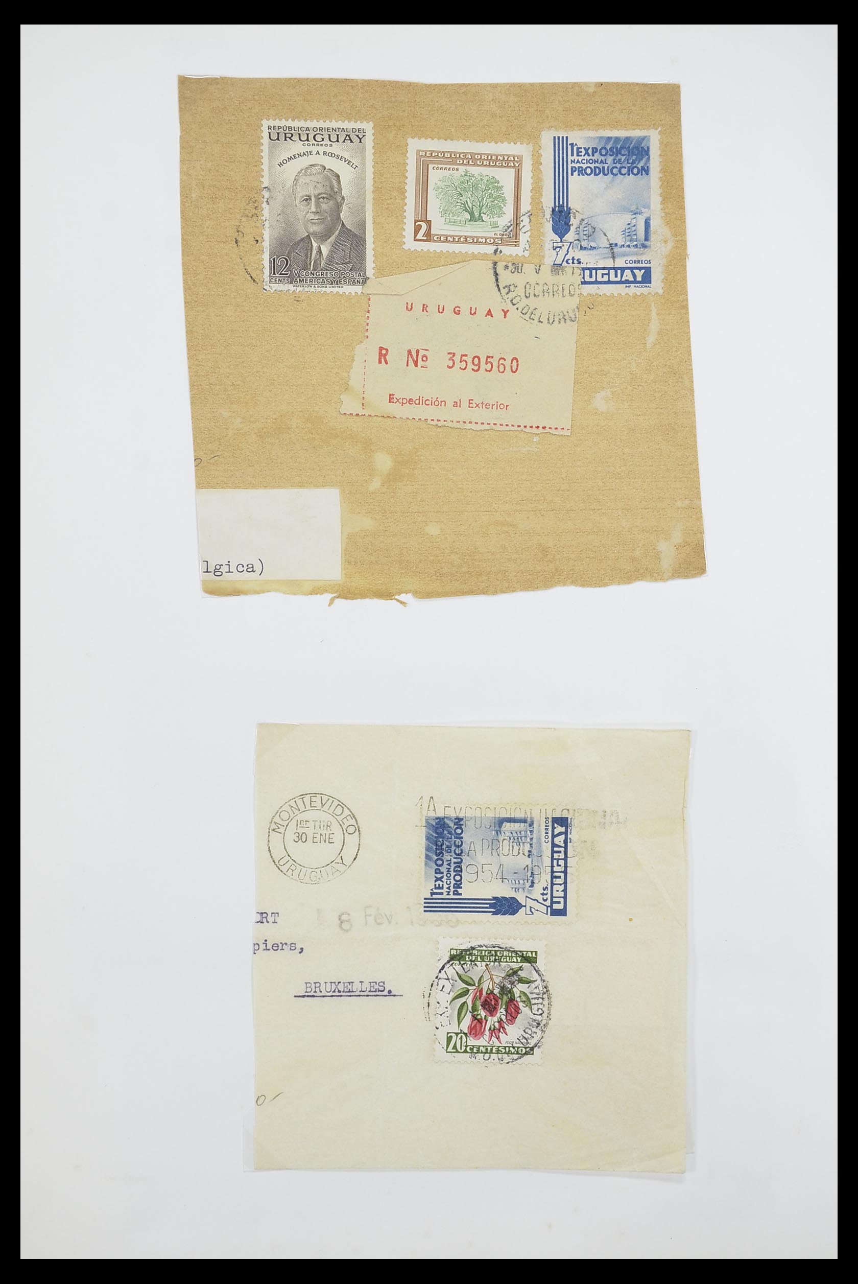 33873 035 - Postzegelverzameling 33873 Latijns Amerika.
