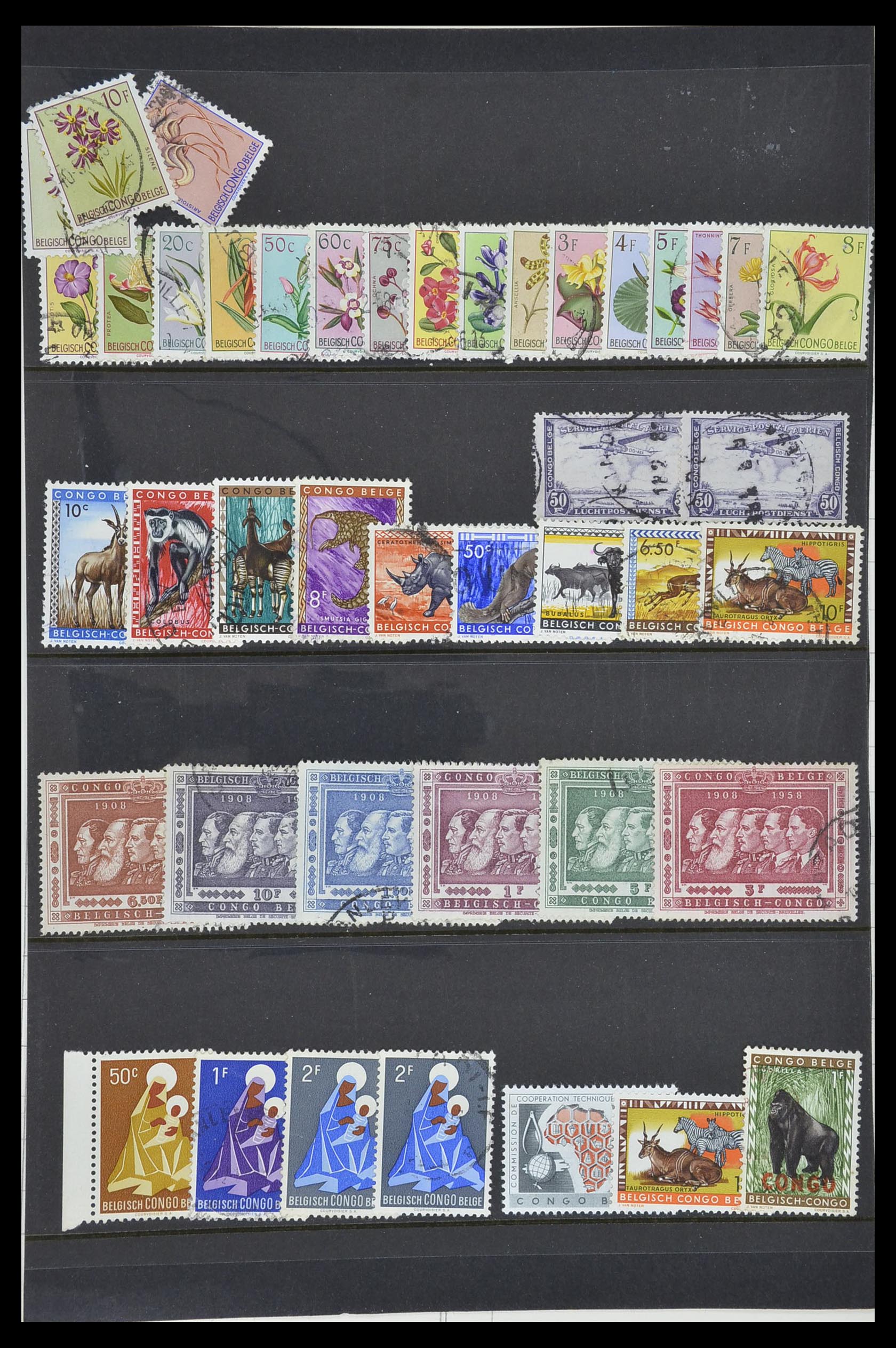 33875 001 - Postzegelverzameling 33875 Europa.