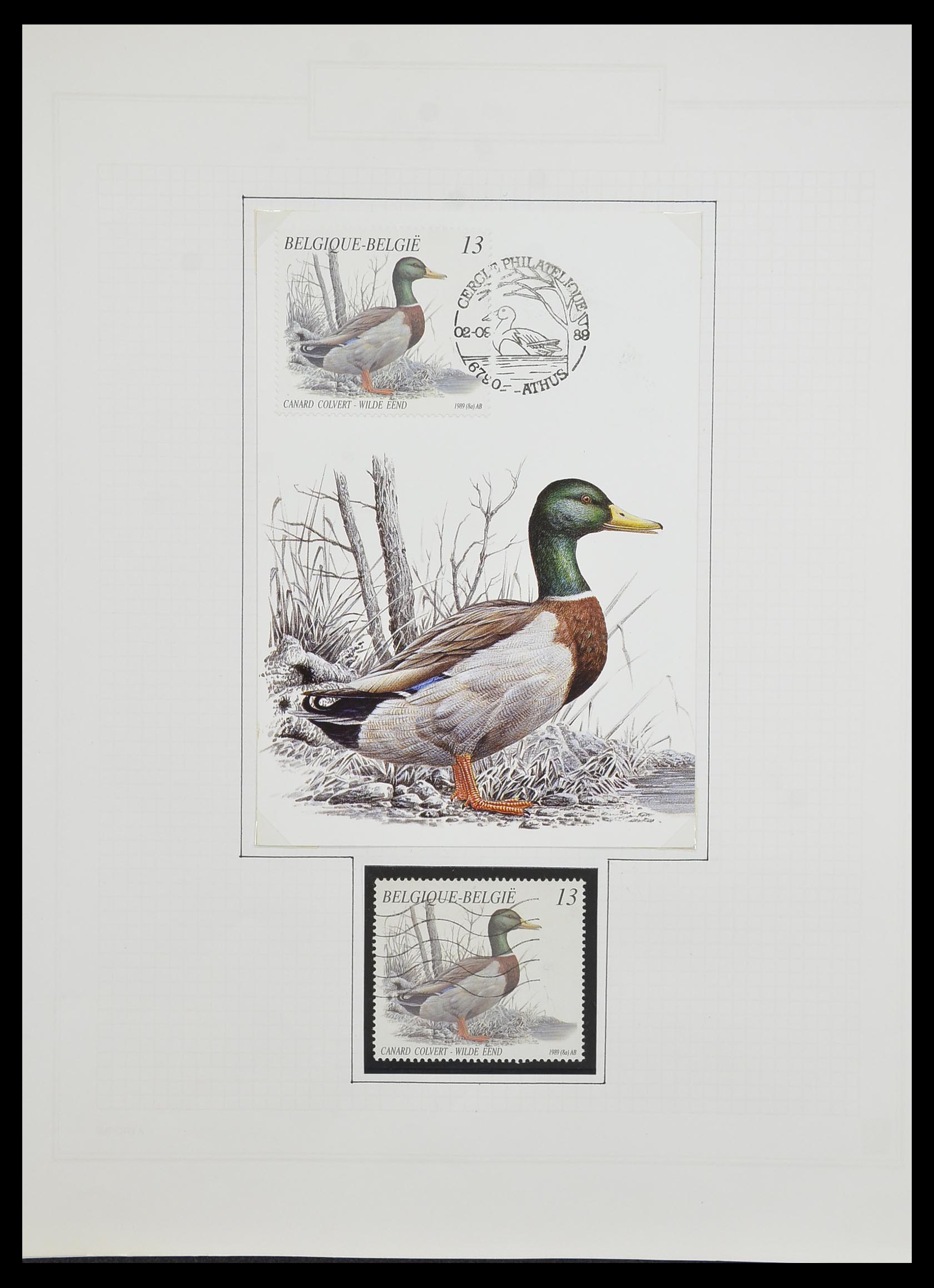 33876 421 - Postzegelverzameling 33876 België 1883-2006.