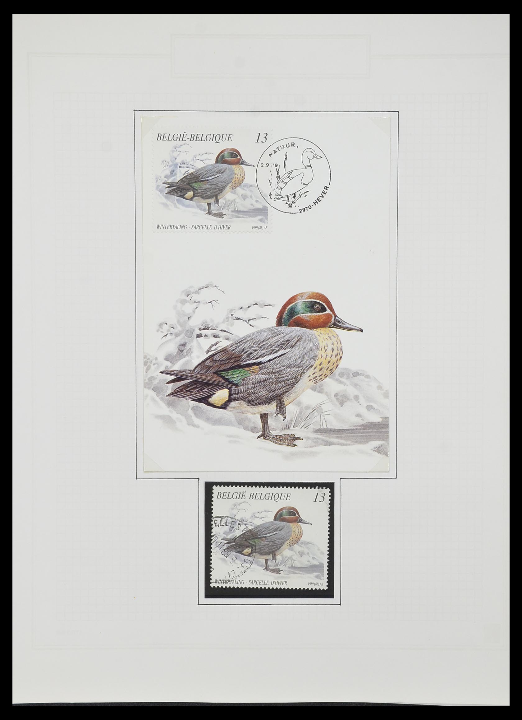 33876 422 - Postzegelverzameling 33876 België 1883-2006.