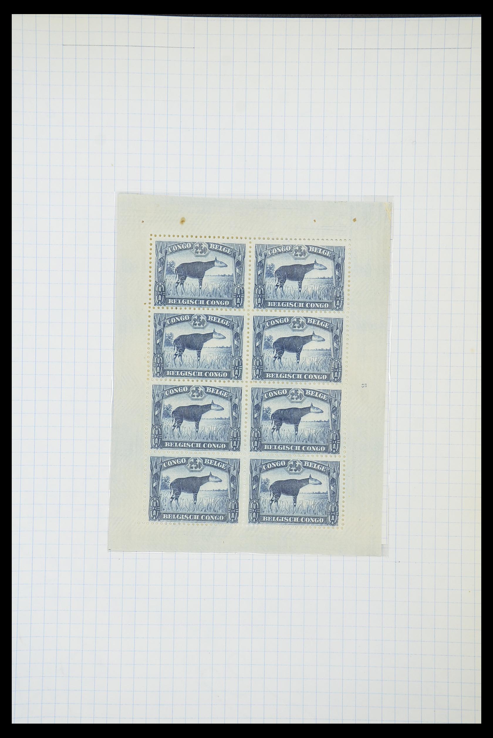 33885 061 - Postzegelverzameling 33885 Belgisch Congo 1886-1960.