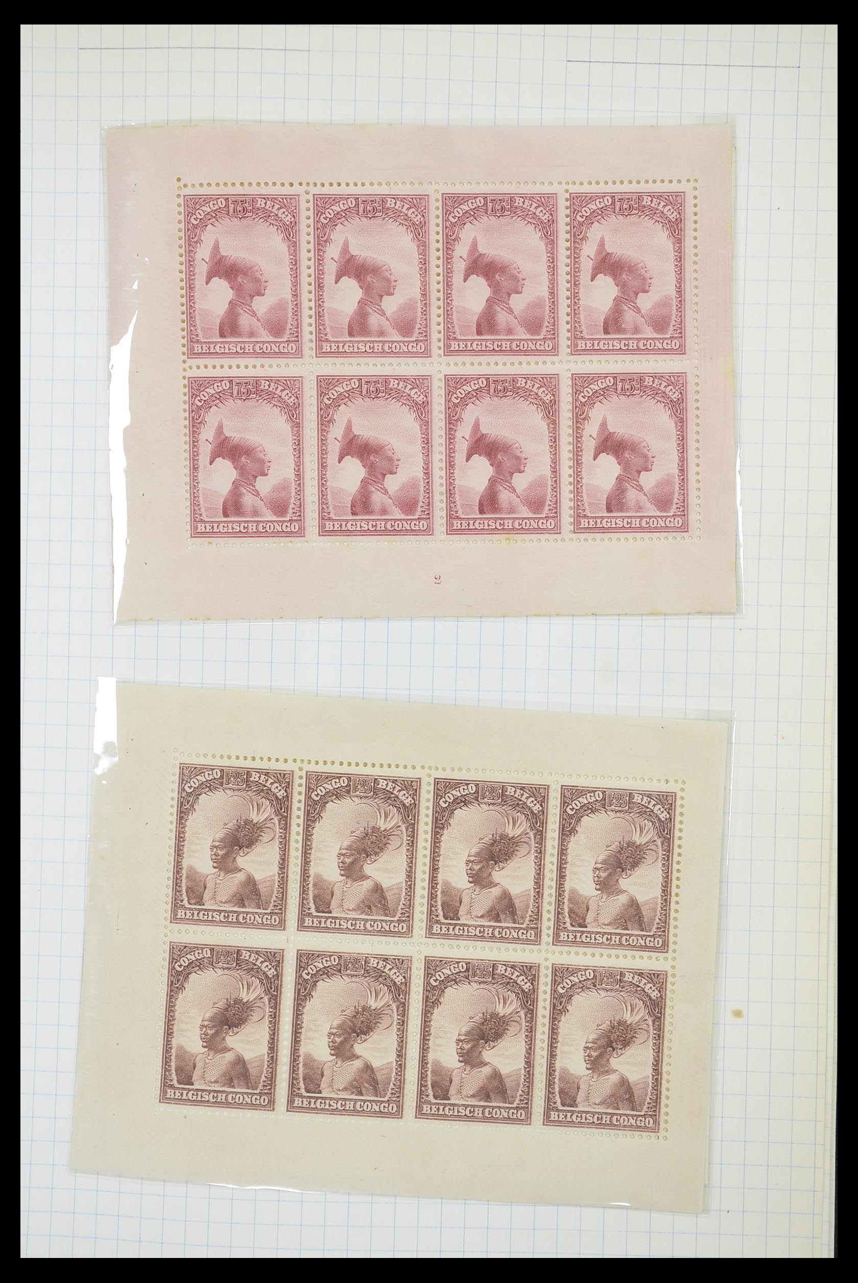 33885 062 - Postzegelverzameling 33885 Belgisch Congo 1886-1960.