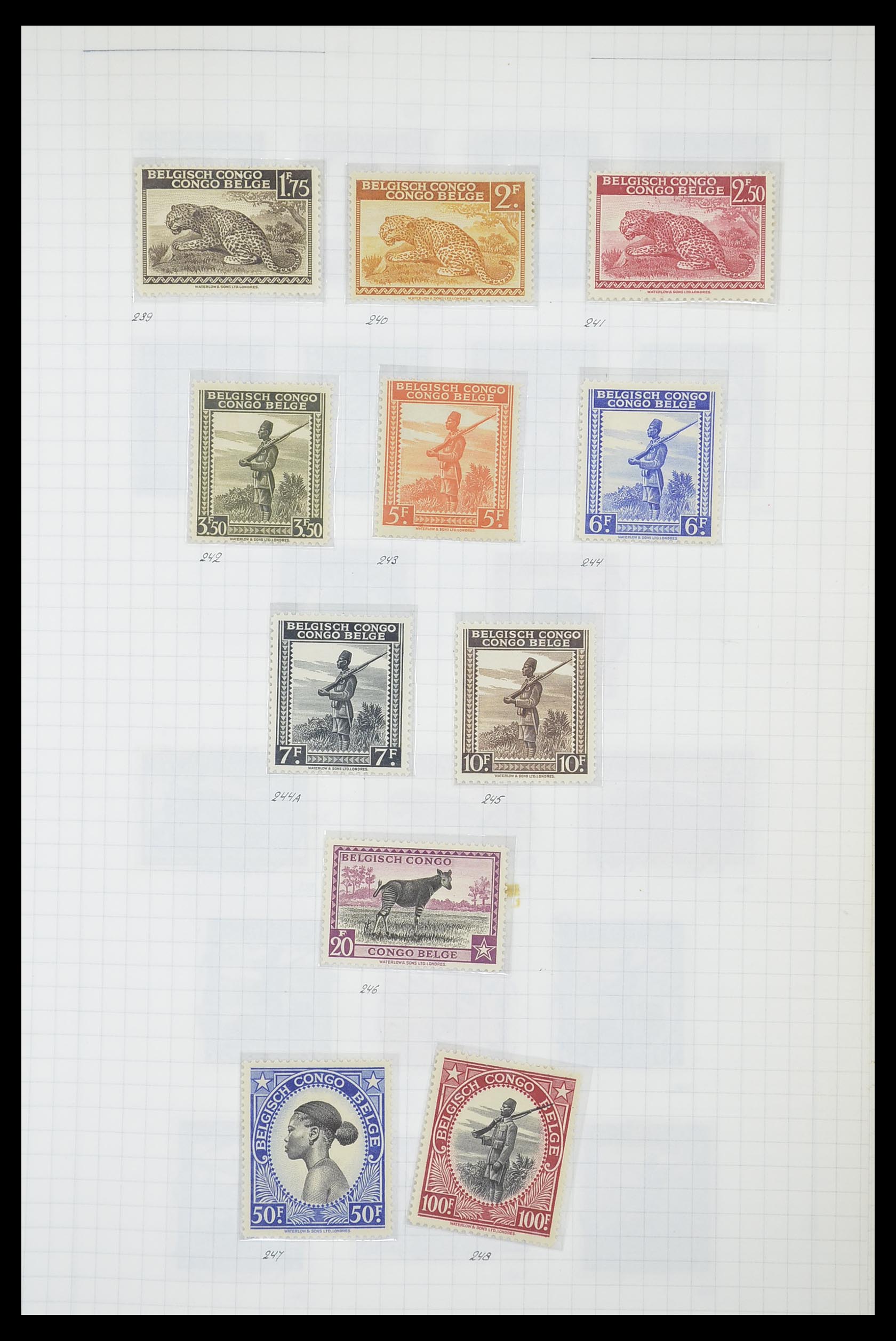33885 078 - Postzegelverzameling 33885 Belgisch Congo 1886-1960.
