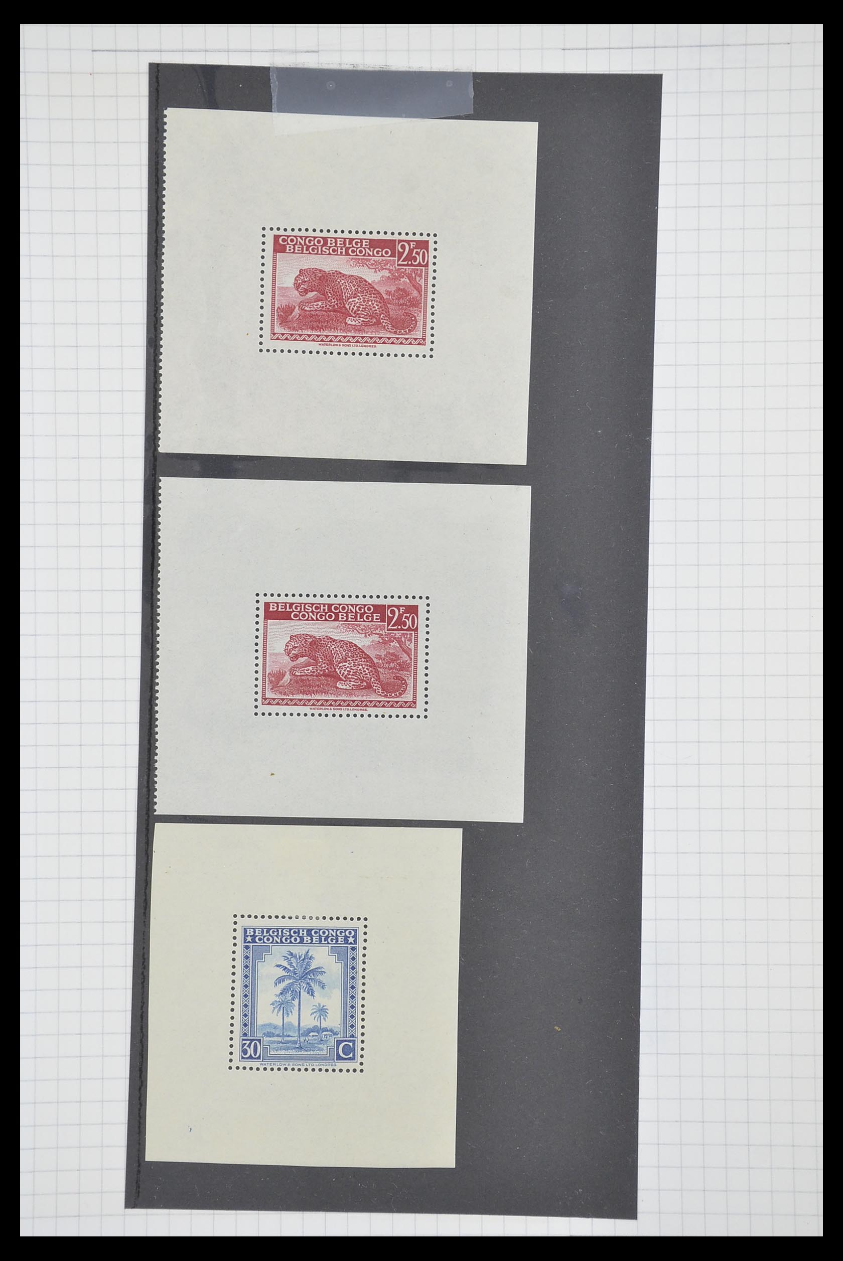 33885 110 - Postzegelverzameling 33885 Belgisch Congo 1886-1960.