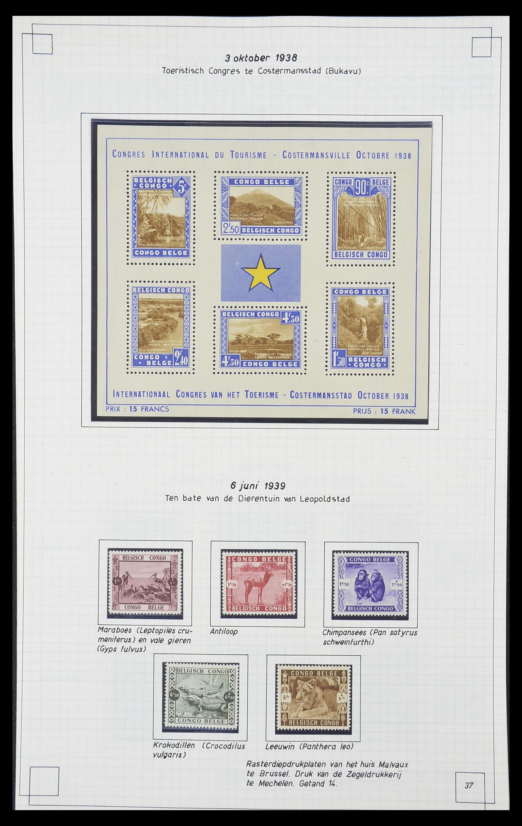 33891 032 - Postzegelverzameling 33891 Belgisch Congo 1886-1960.