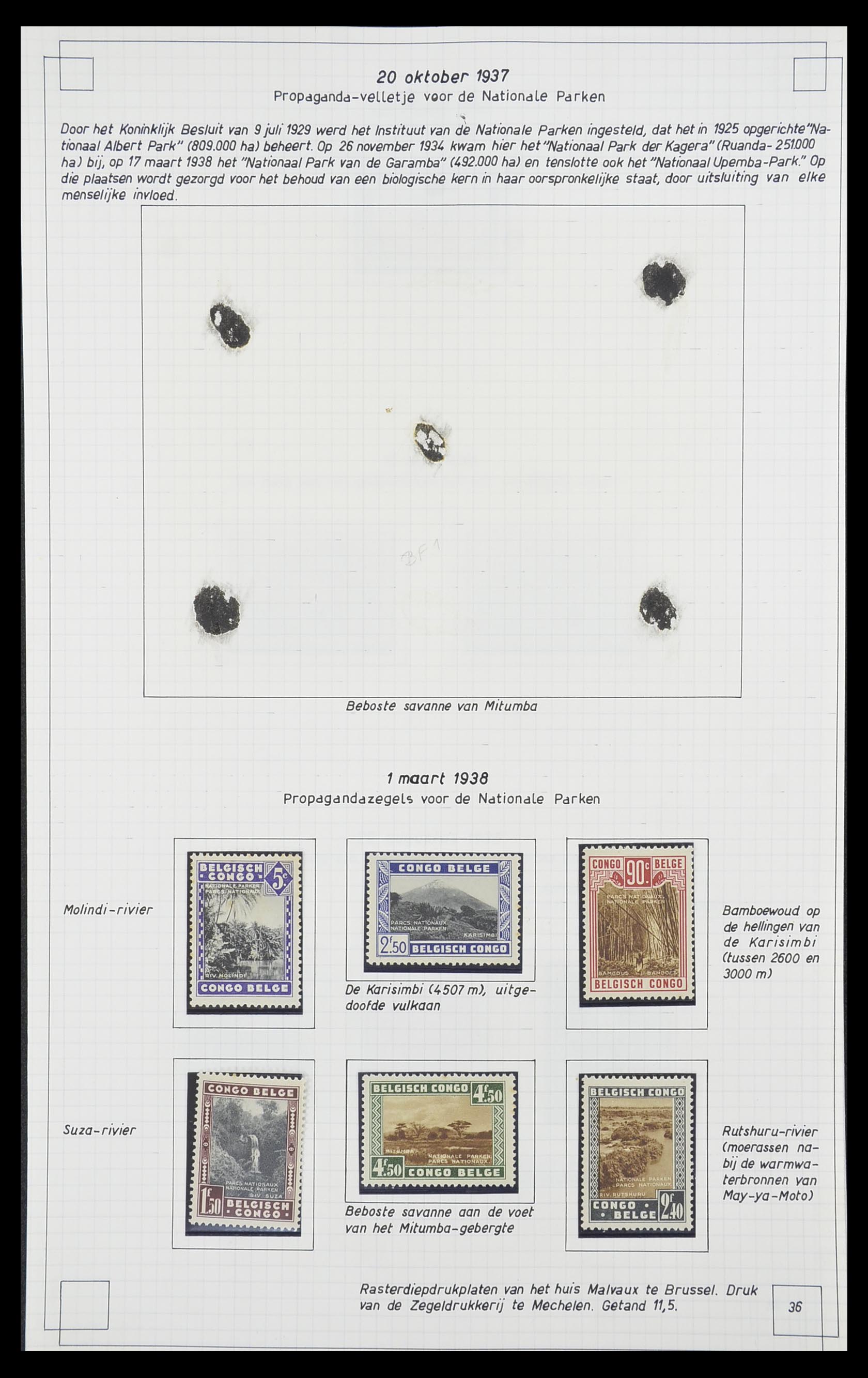 33891 033 - Postzegelverzameling 33891 Belgisch Congo 1886-1960.