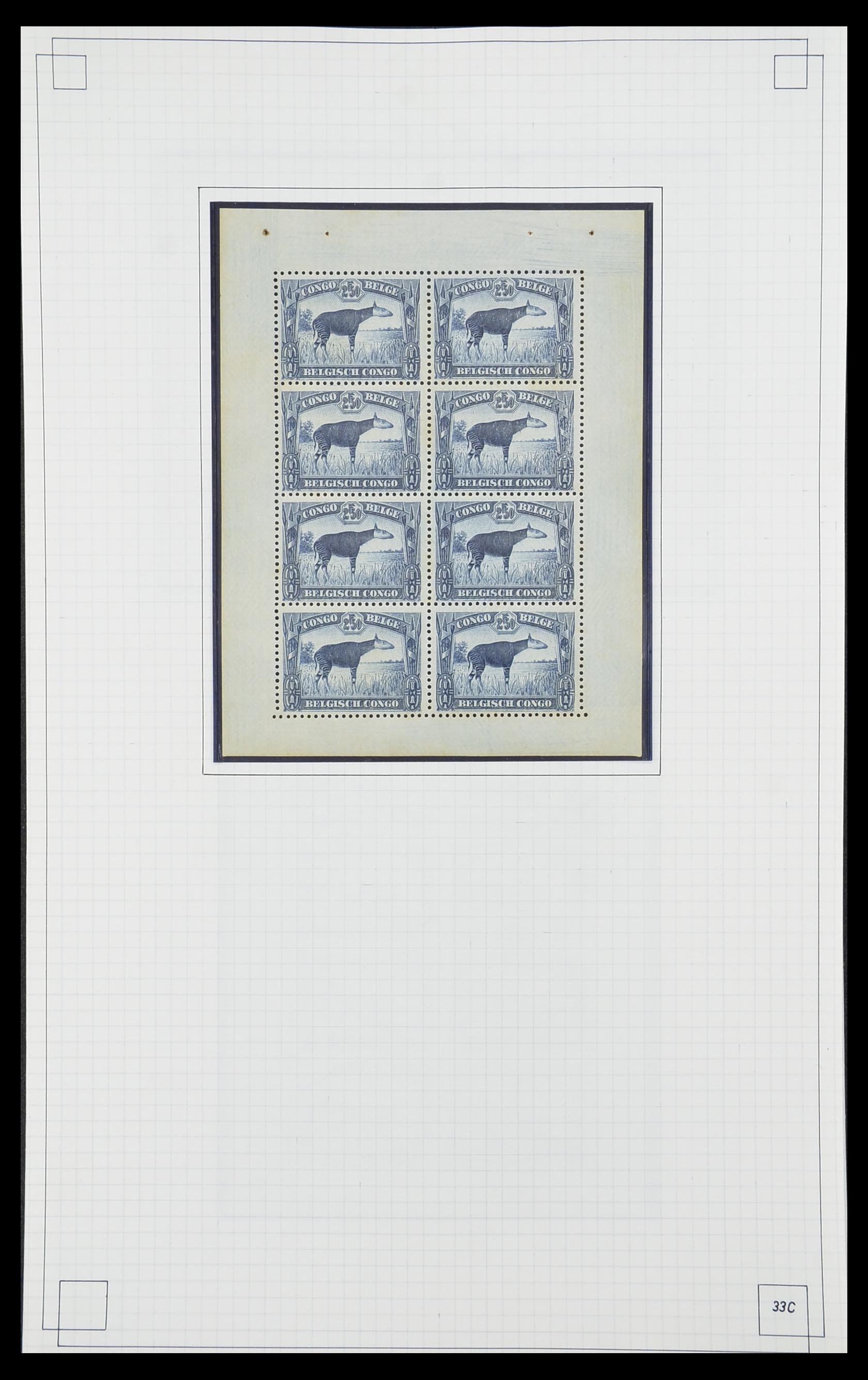 33891 037 - Postzegelverzameling 33891 Belgisch Congo 1886-1960.