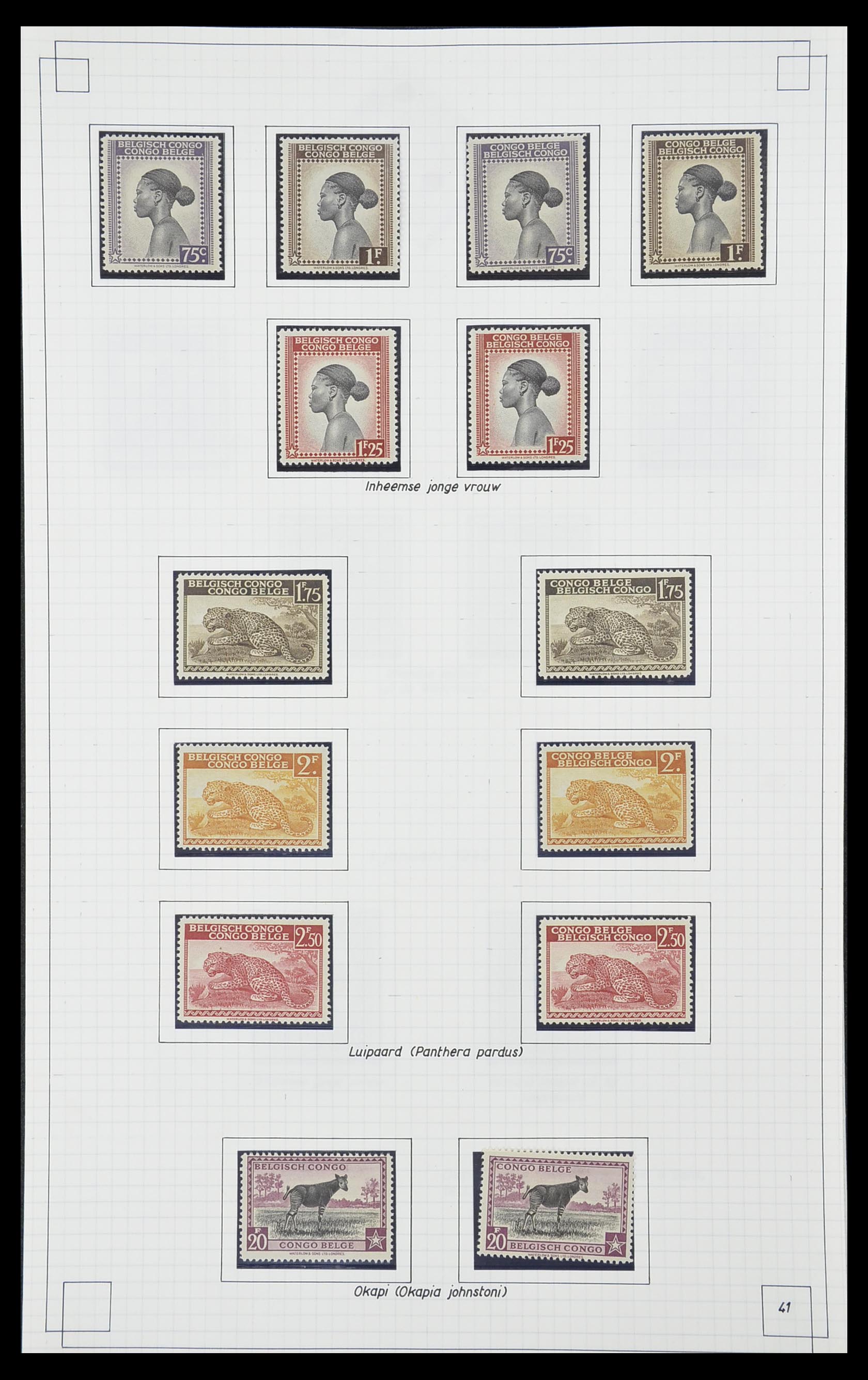 33891 043 - Postzegelverzameling 33891 Belgisch Congo 1886-1960.