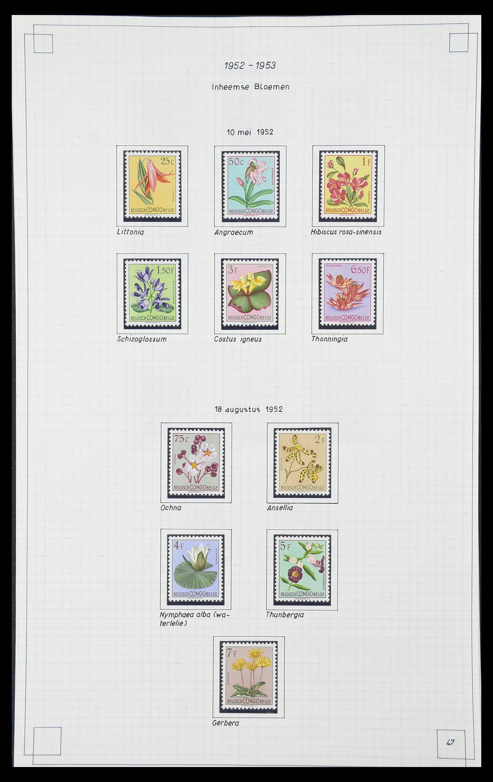 33891 049 - Postzegelverzameling 33891 Belgisch Congo 1886-1960.