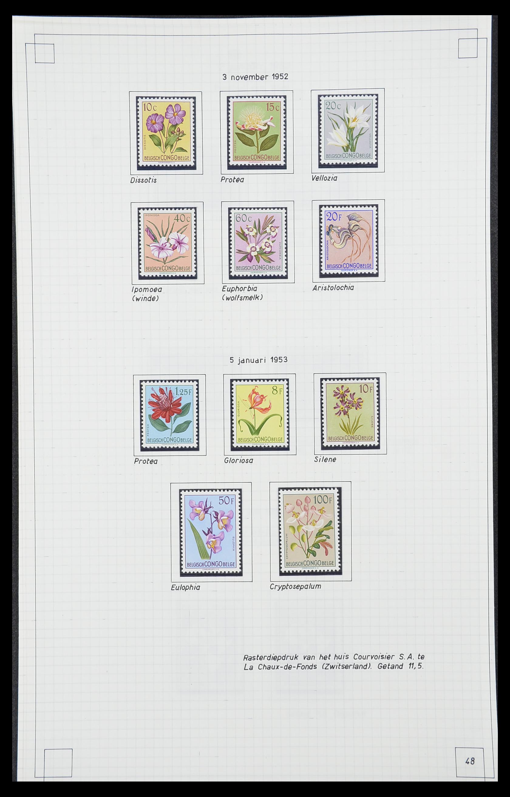 33891 050 - Postzegelverzameling 33891 Belgisch Congo 1886-1960.