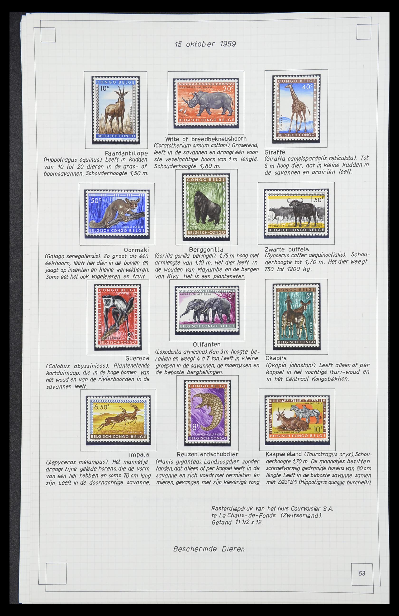33891 055 - Postzegelverzameling 33891 Belgisch Congo 1886-1960.