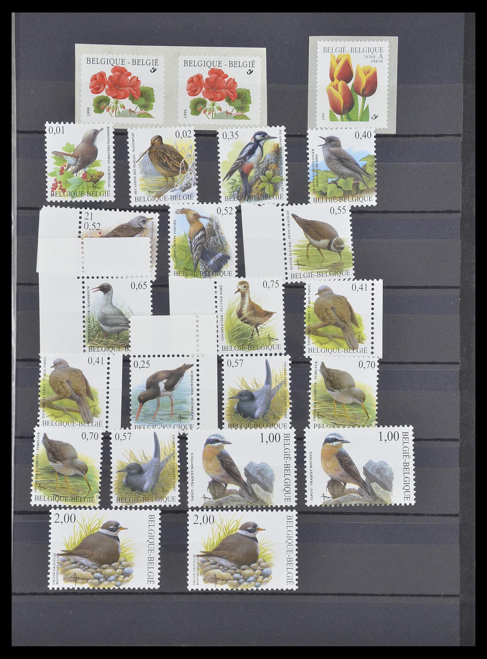 33899 135 - Postzegelverzameling 33899 België postfris 1965-2004.