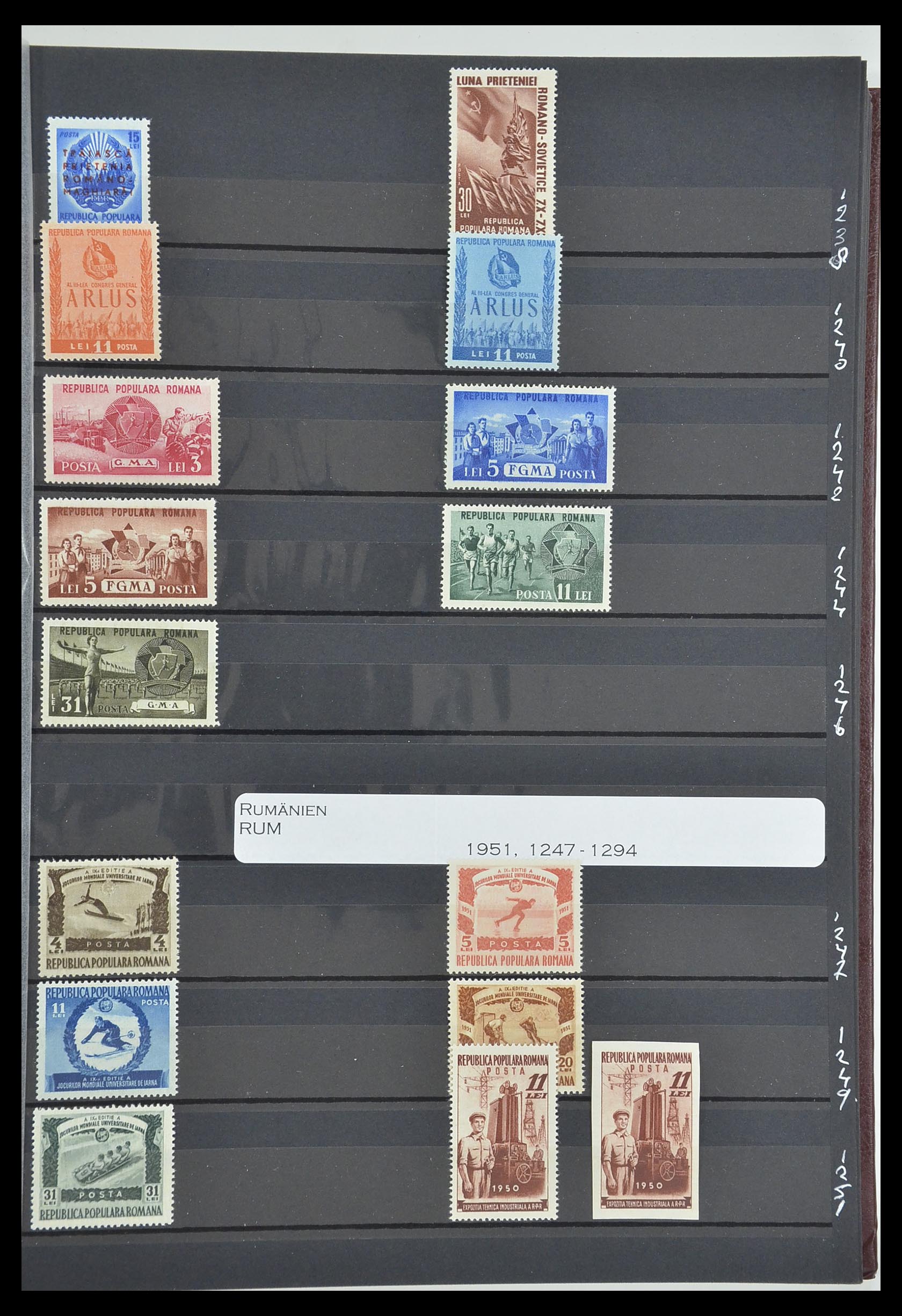 33902 077 - Postzegelverzameling 33902 Roemenië 1866-2001.