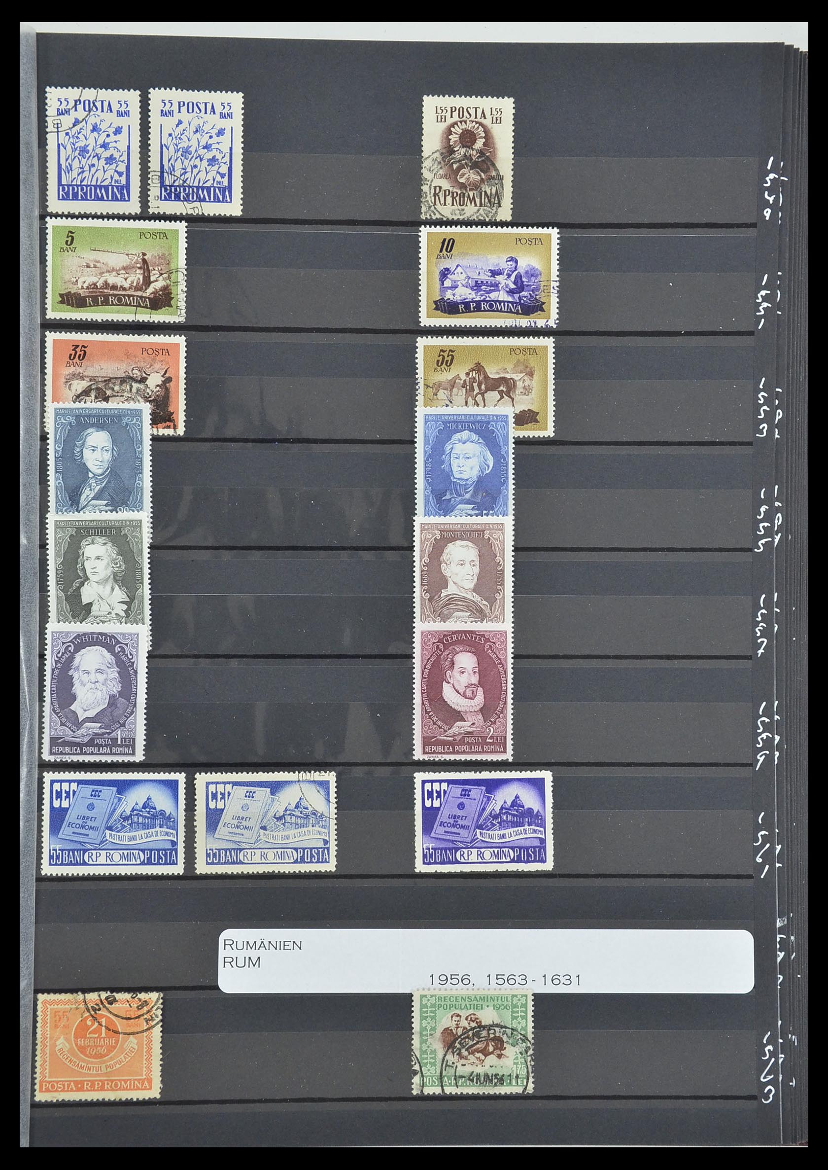 33902 095 - Postzegelverzameling 33902 Roemenië 1866-2001.