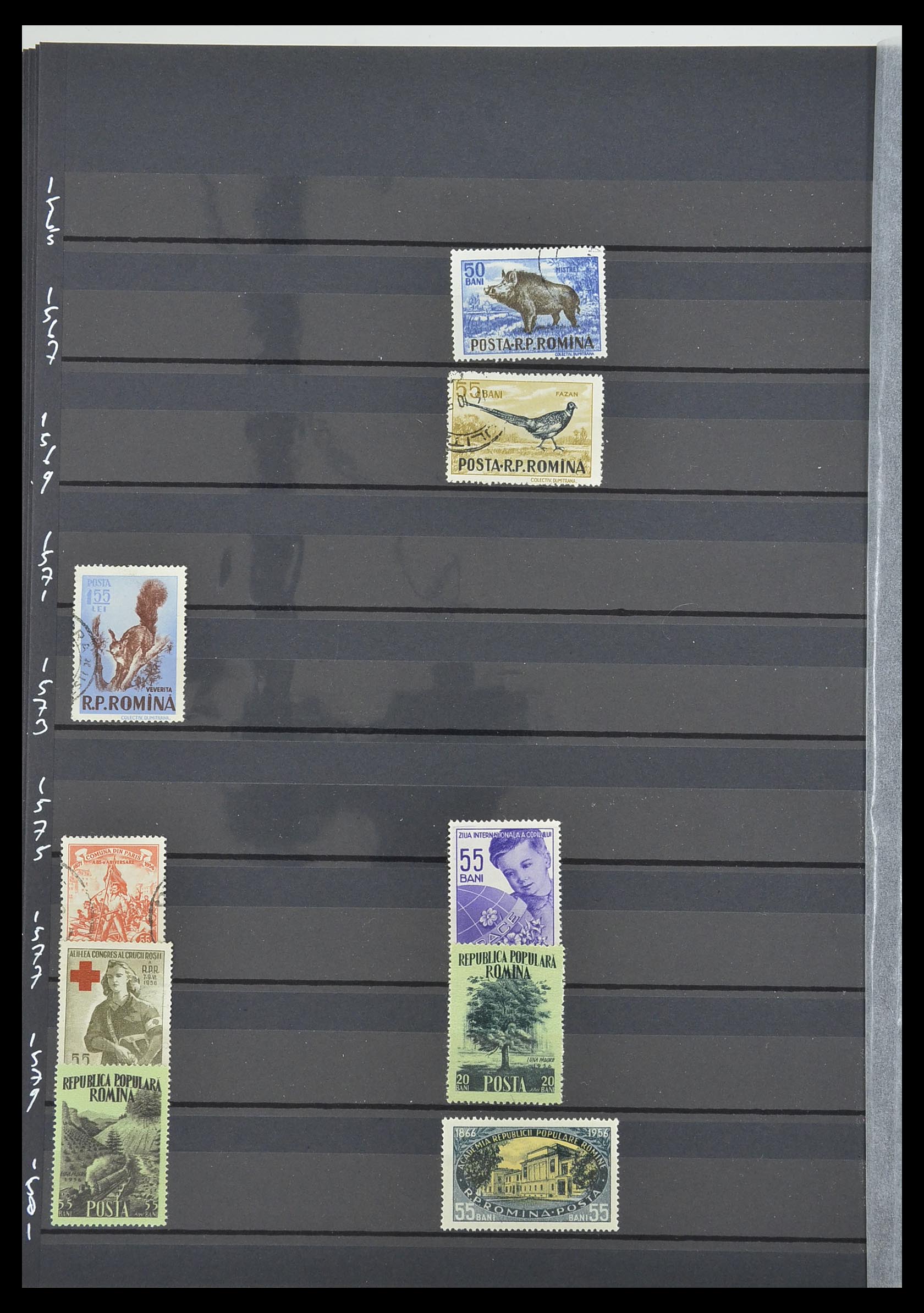 33902 096 - Postzegelverzameling 33902 Roemenië 1866-2001.