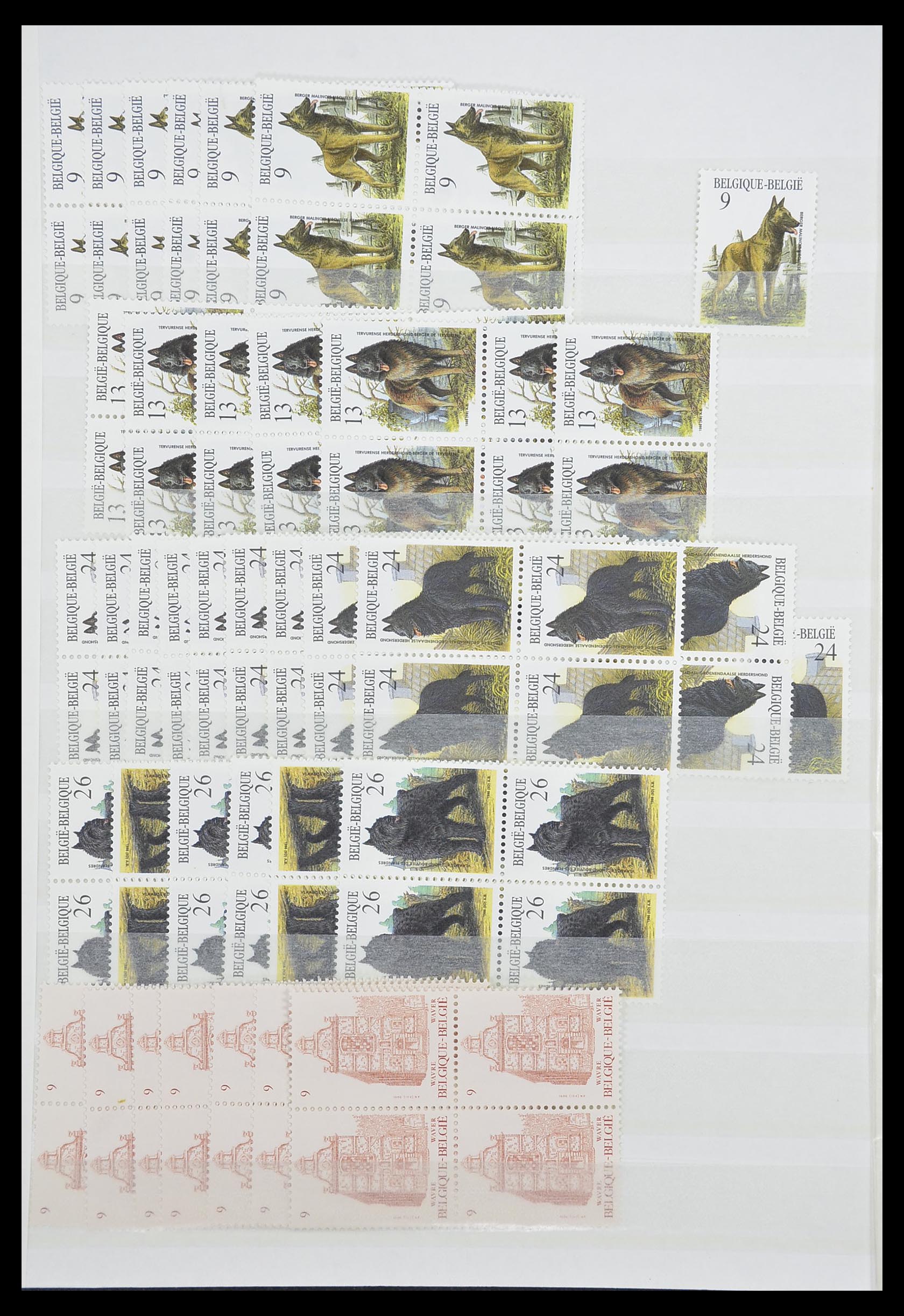 33910 024 - Stamp collection 33910 Belgium MNH 1978-2007.