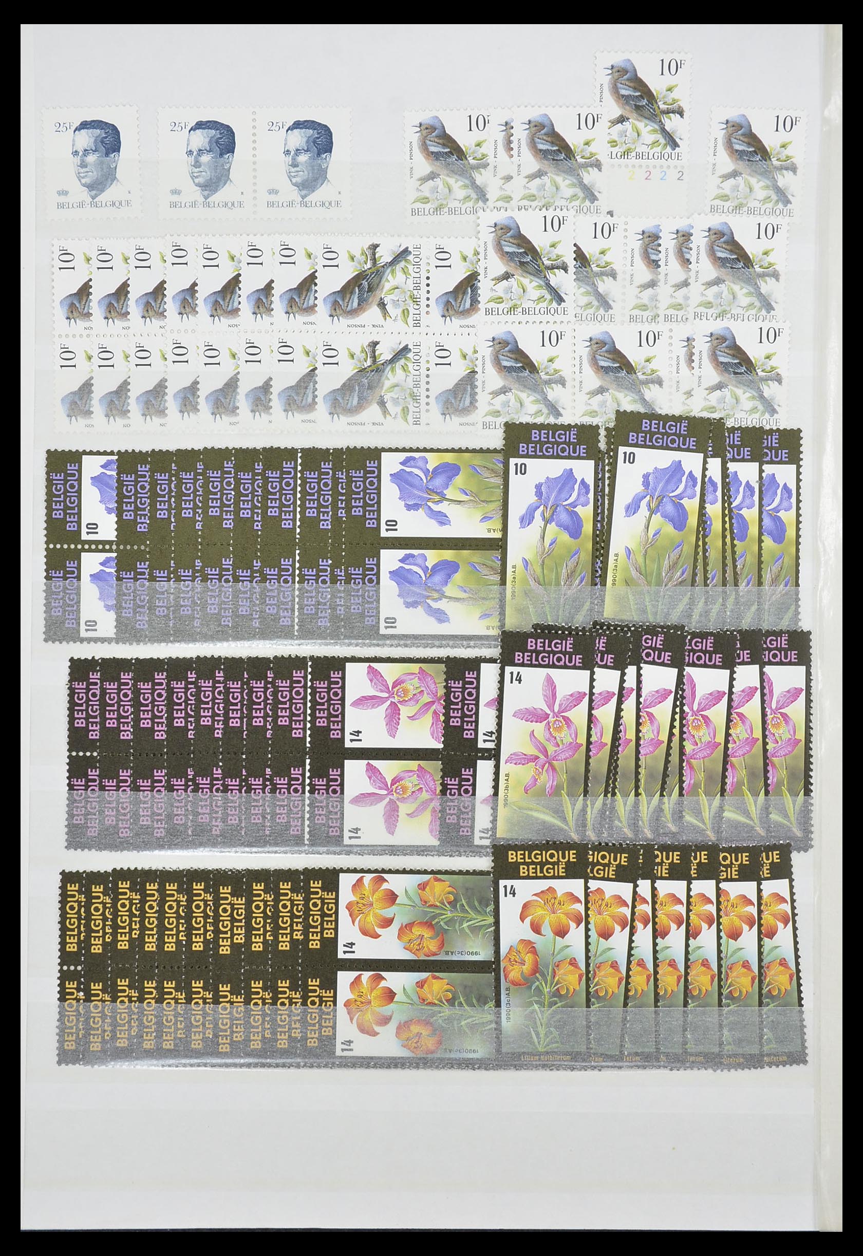 33910 054 - Stamp collection 33910 Belgium MNH 1978-2007.