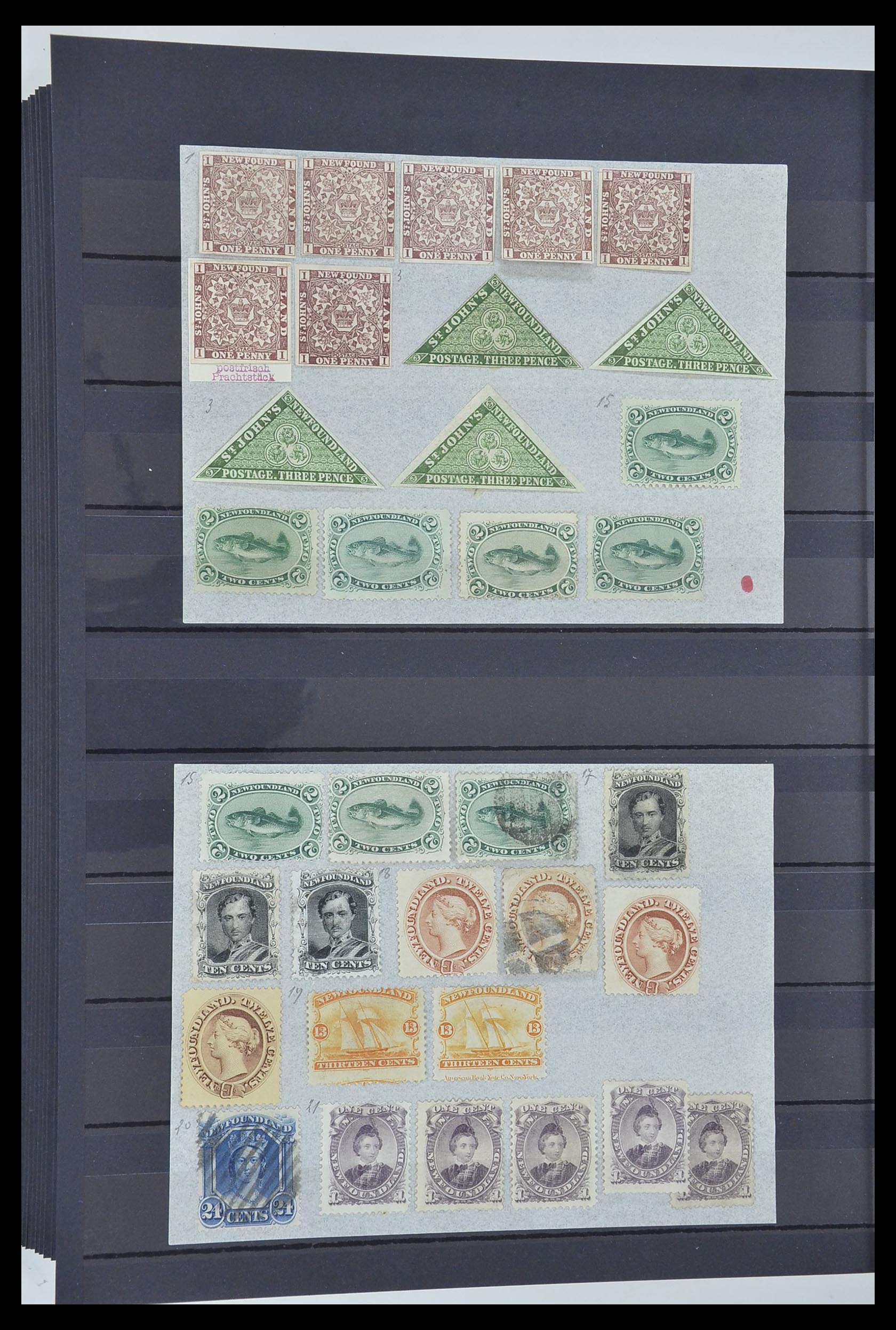 33960 034 - Stamp collection 33960 British colonies classic 1850-1920.
