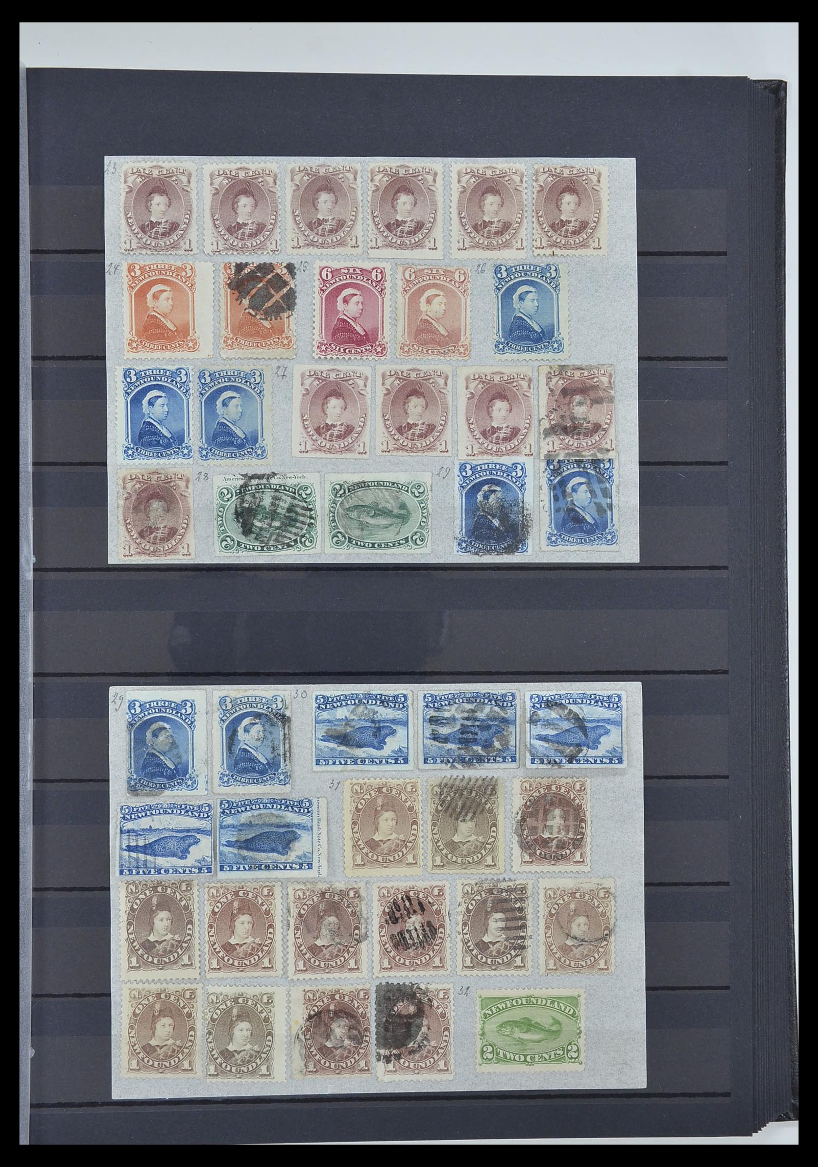 33960 035 - Stamp collection 33960 British colonies classic 1850-1920.