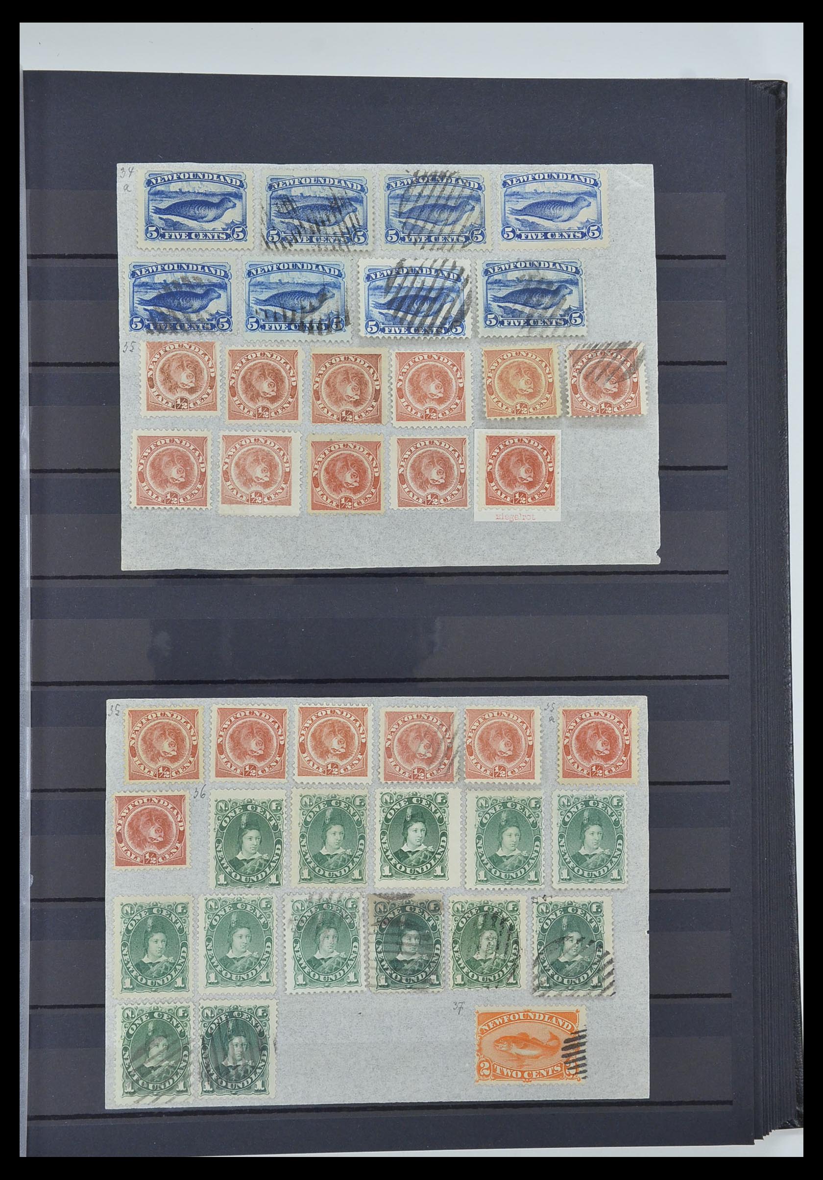 33960 037 - Stamp collection 33960 British colonies classic 1850-1920.