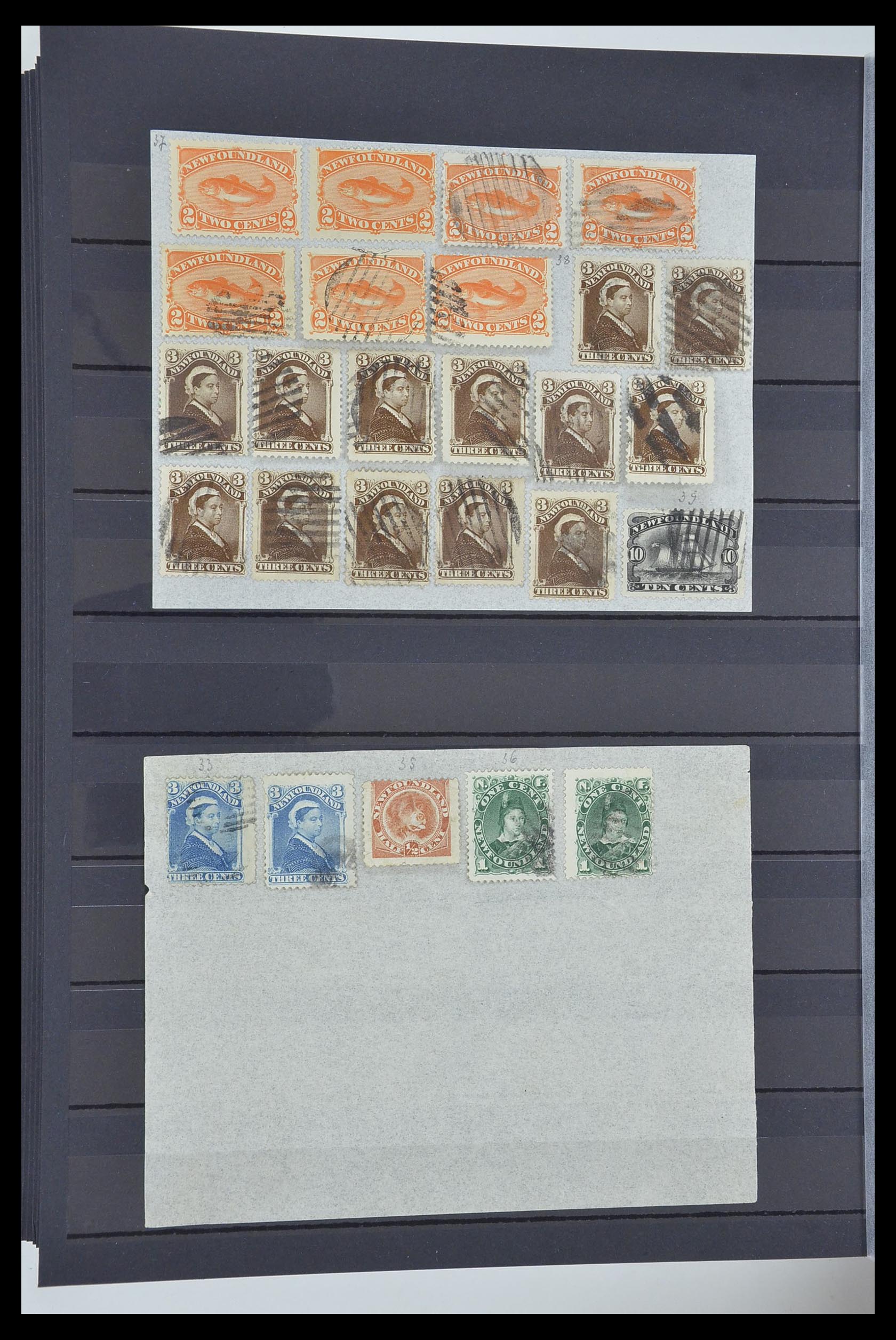 33960 038 - Stamp collection 33960 British colonies classic 1850-1920.
