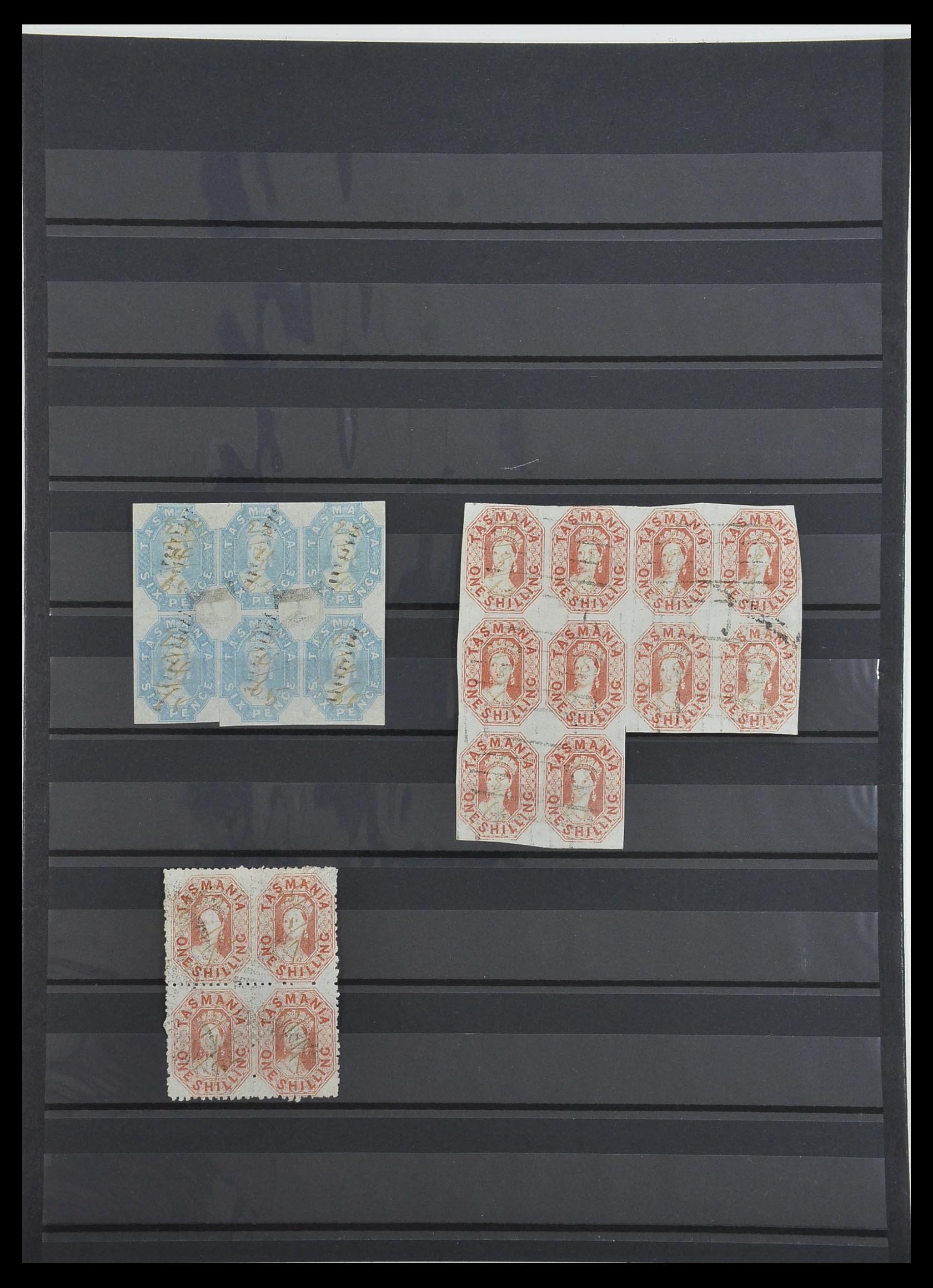 34008 001 - Postzegelverzameling 34008 Tasmanië 1857-1870.