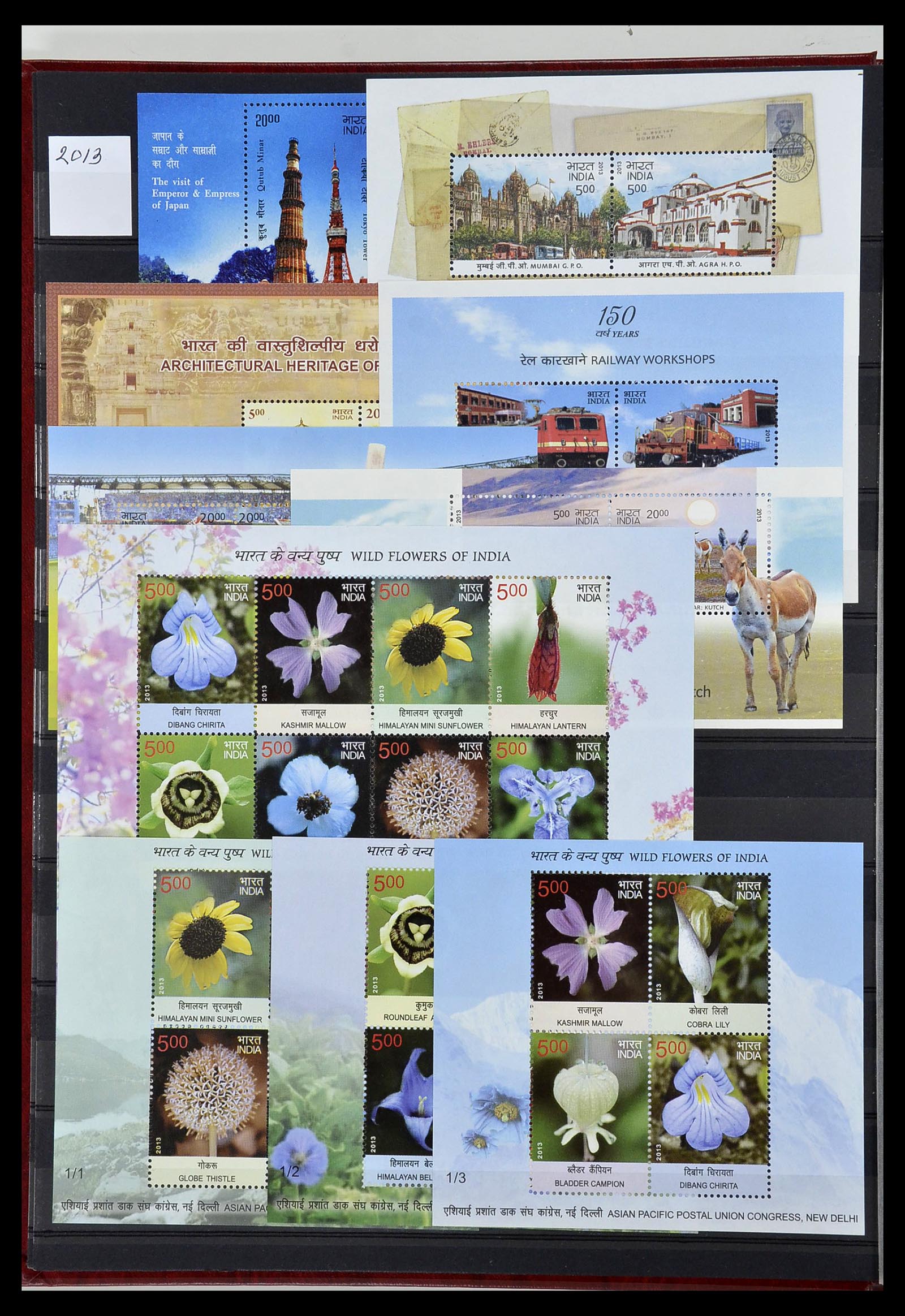 34010 220 - Postzegelverzameling 34010 India en Staten 1854-2018!